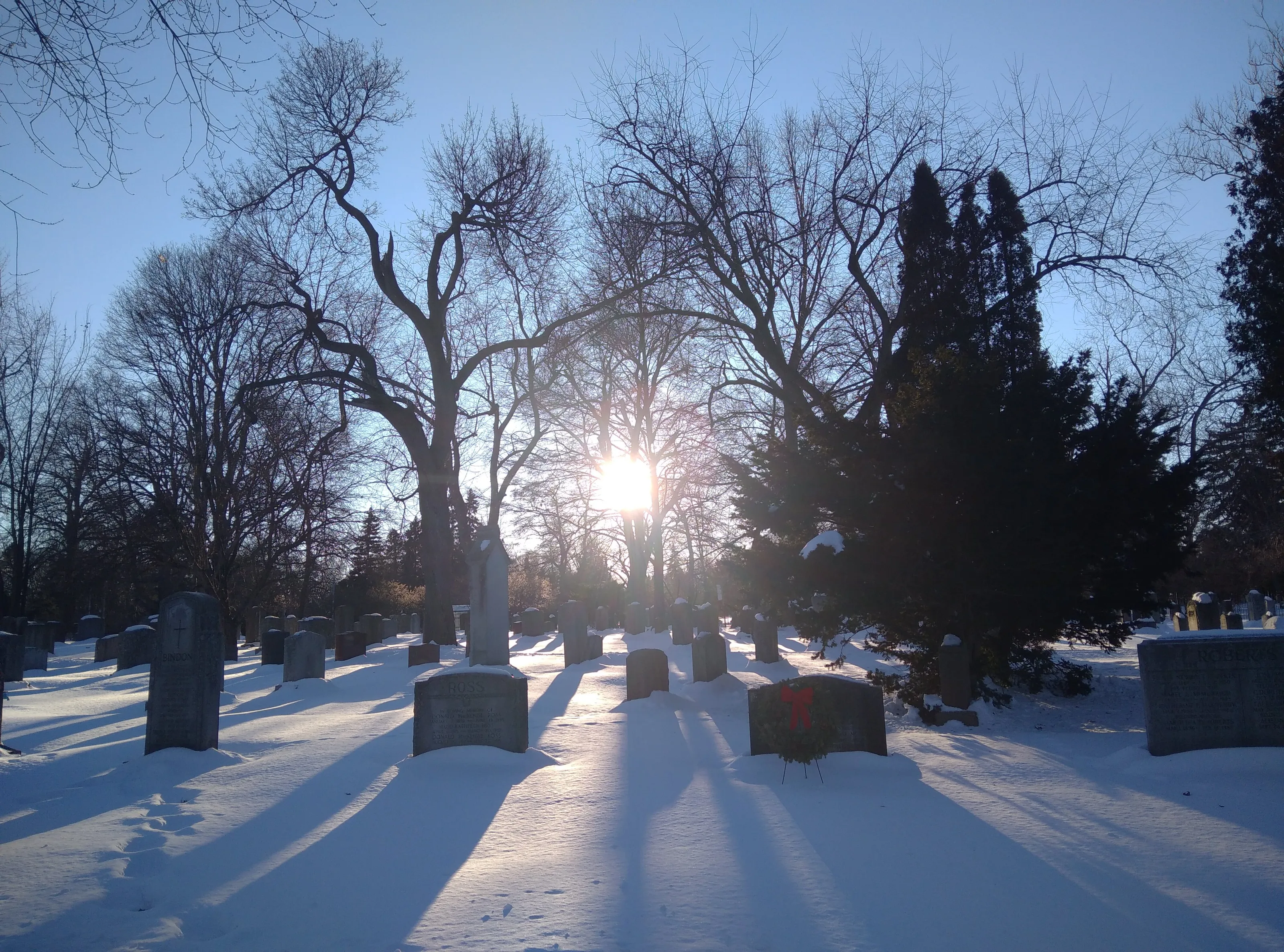 Awakening in the snow