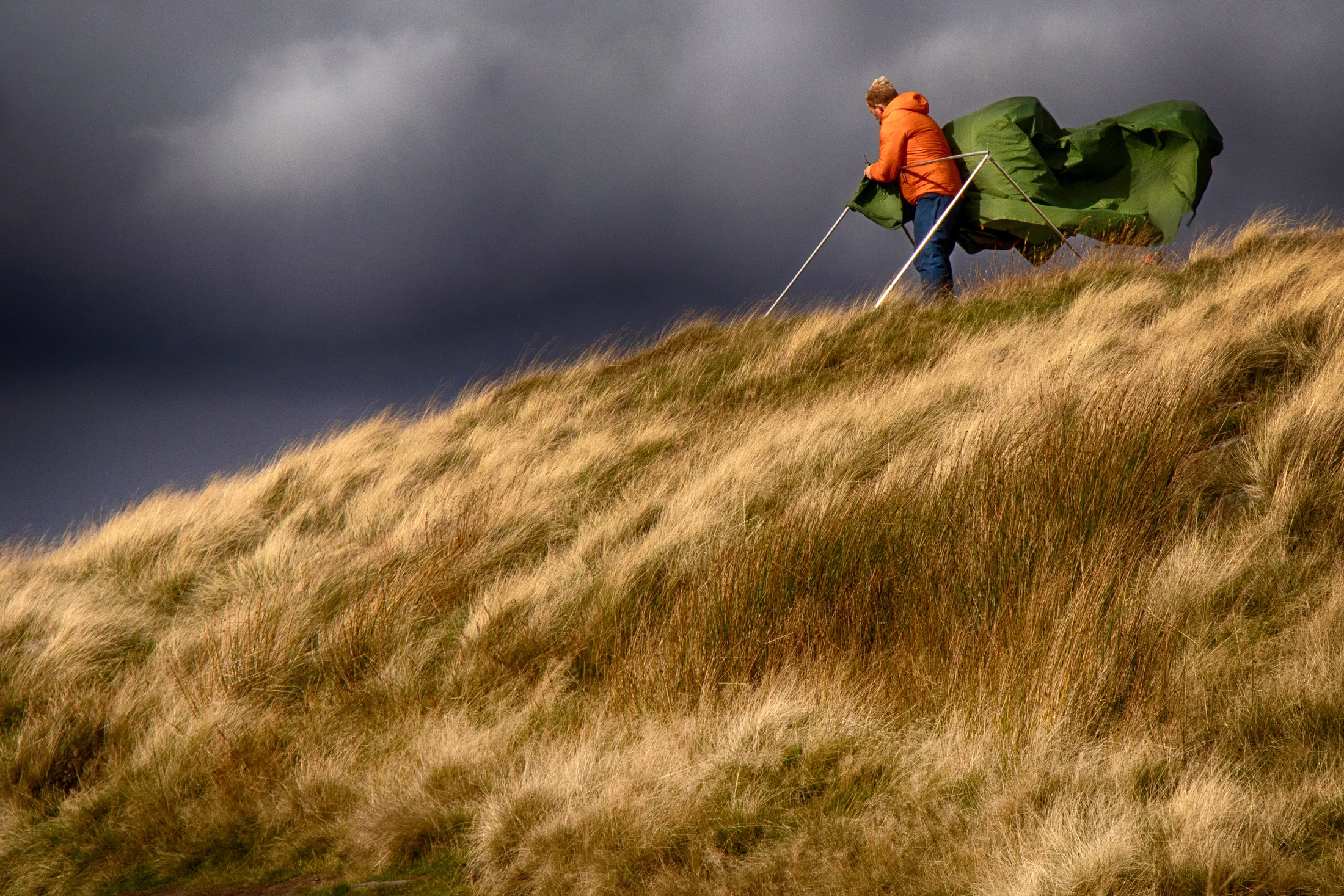 In Tents Wind