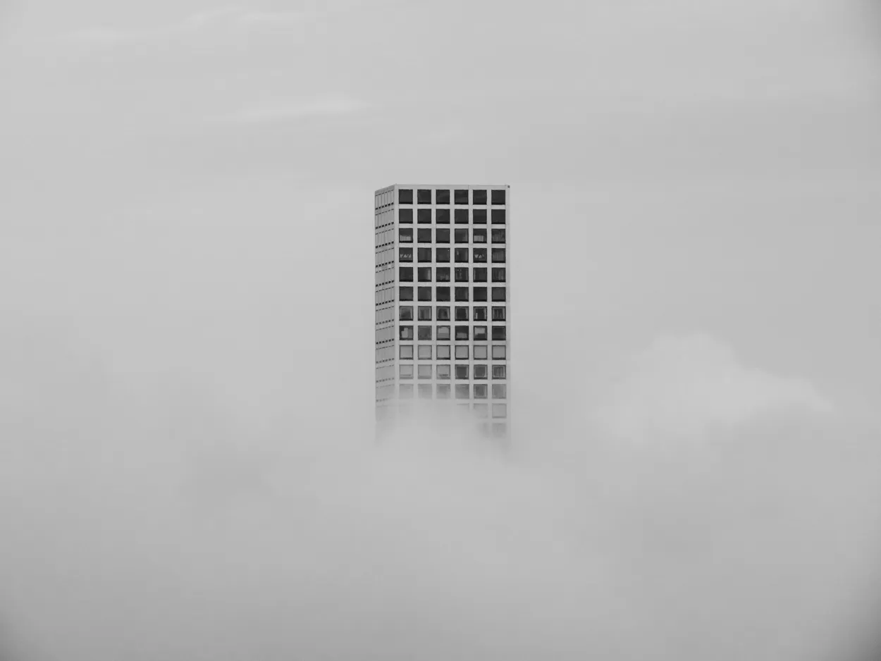 Entry 11743174
