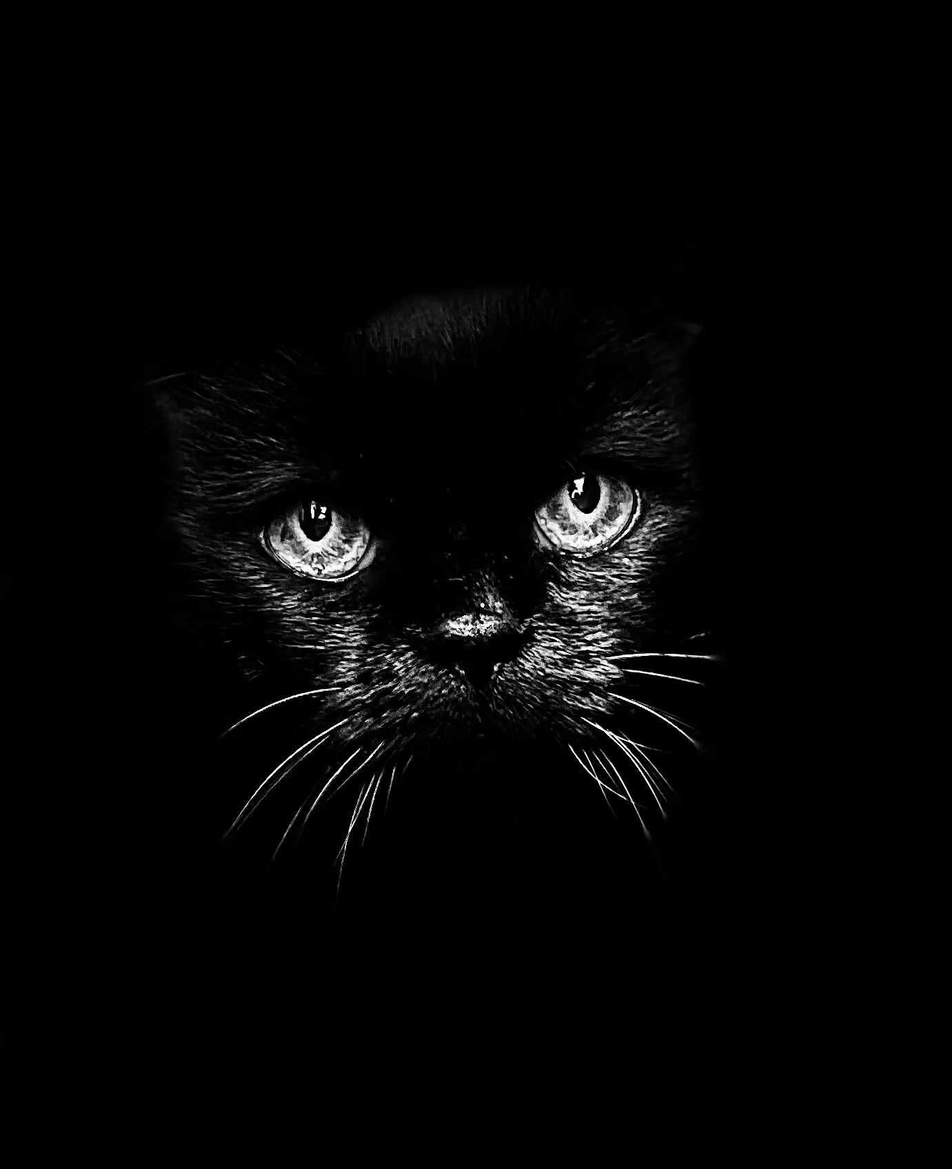 Meowing at midnight.