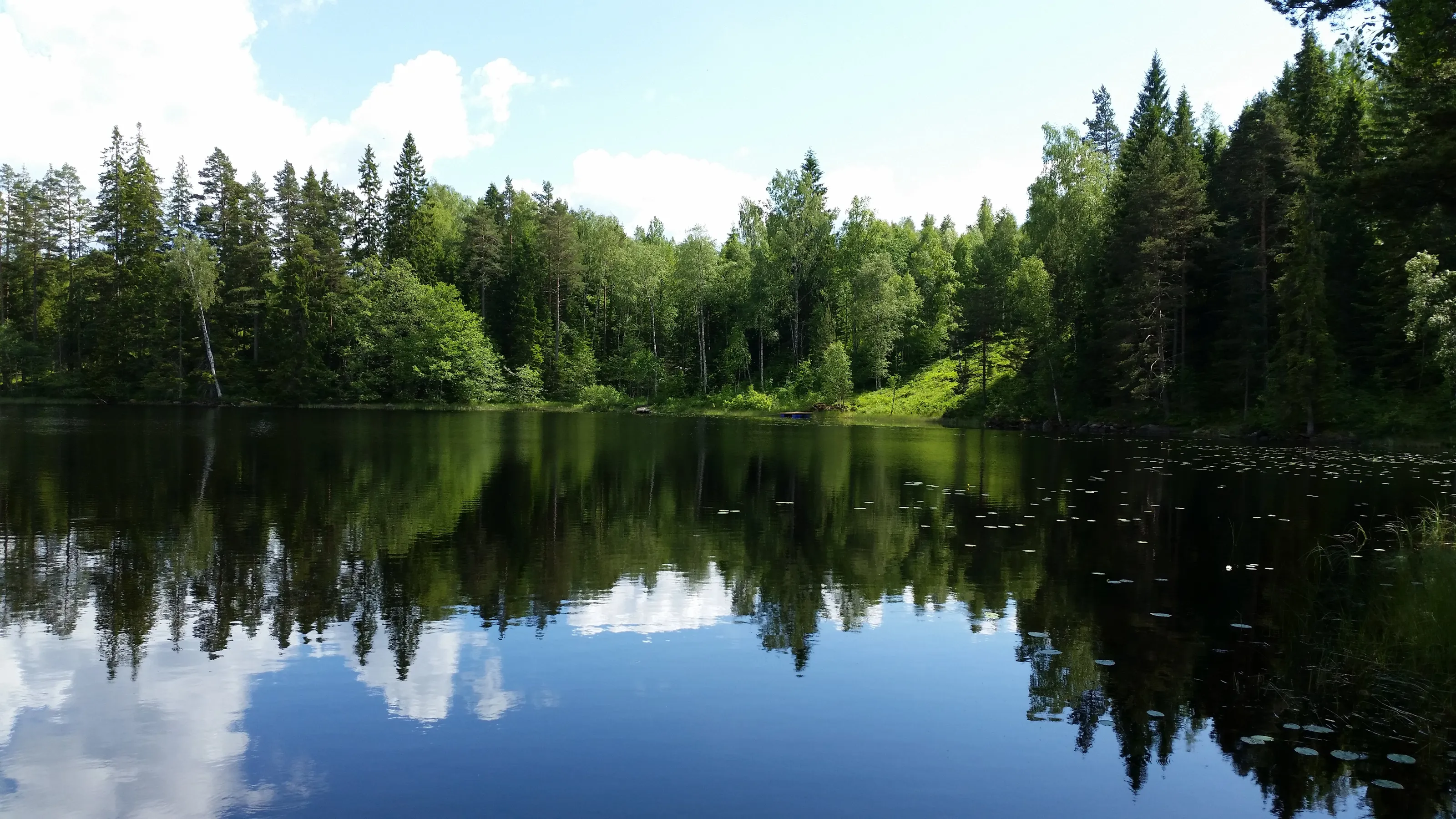 By a small lake
