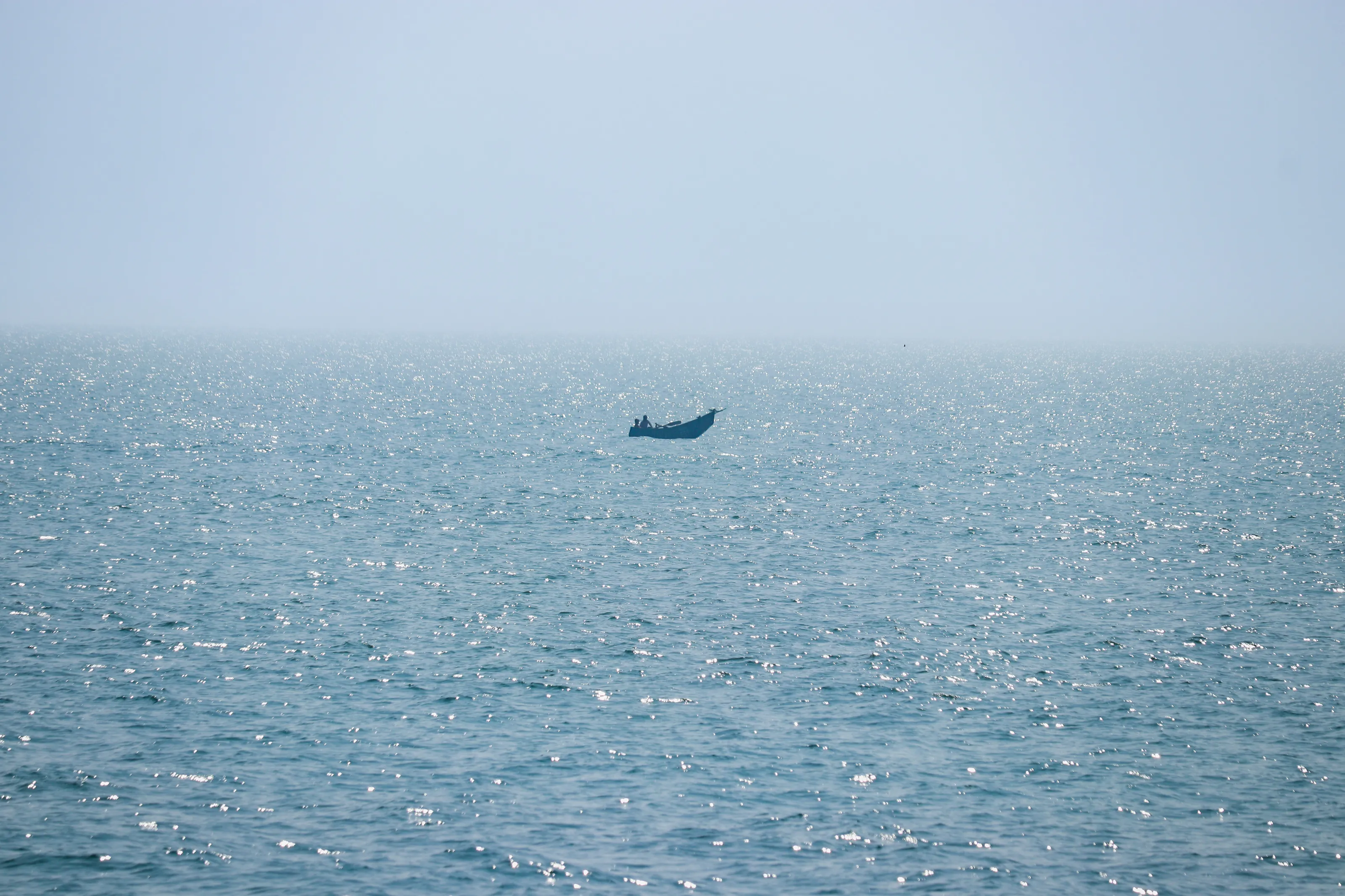 The lonely and tiny in the deep sea!