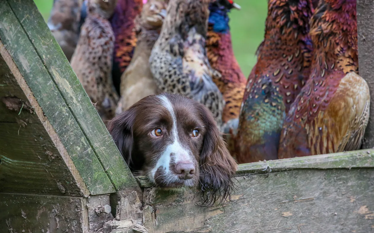Entry 13536030