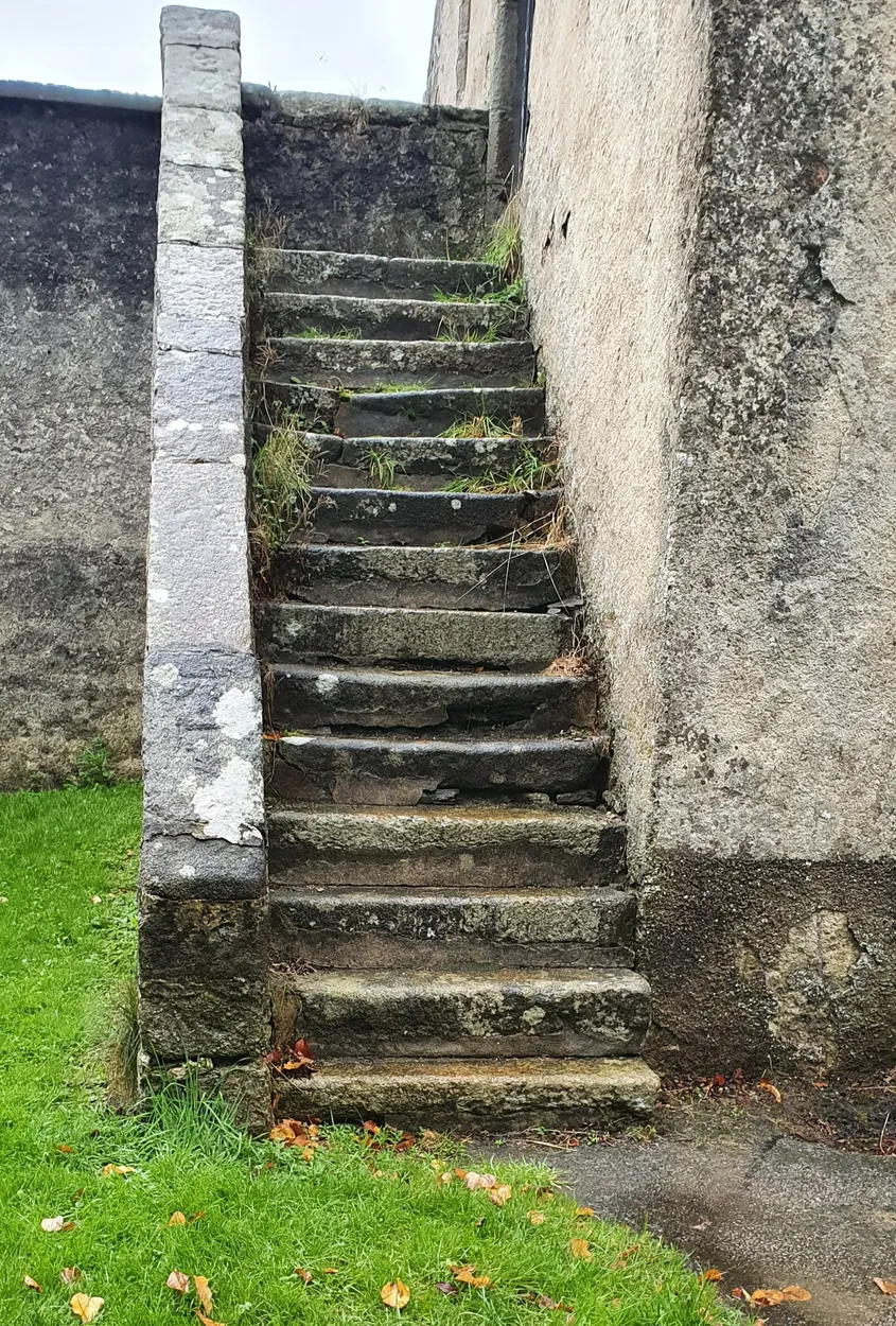 Entry 11761617