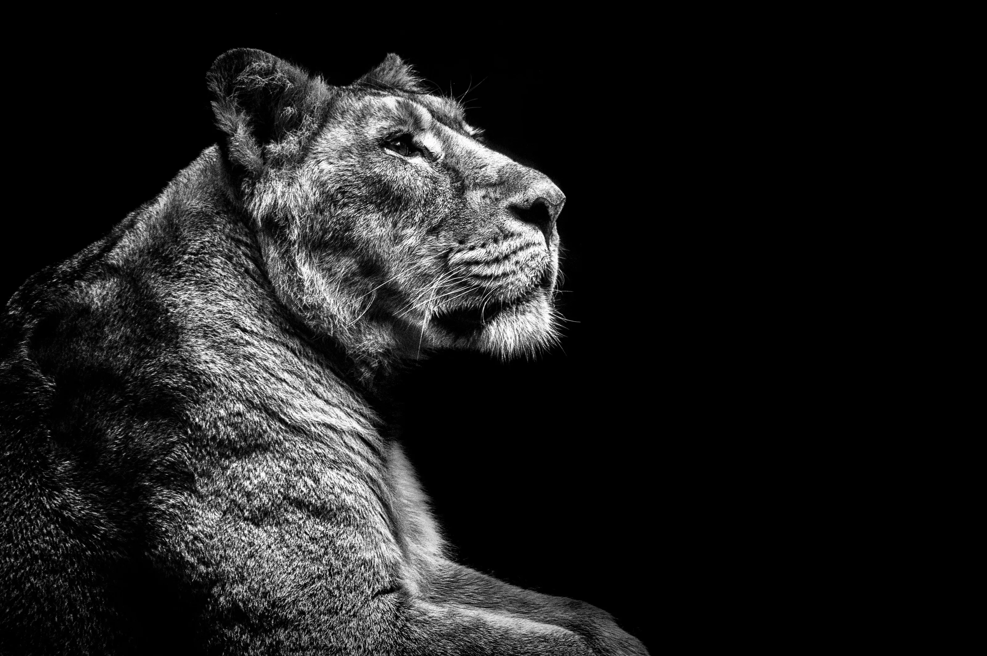 Contemplation