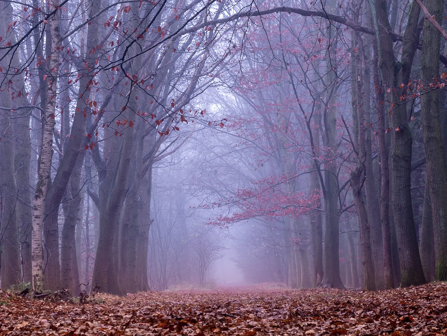 The road ahead is empty