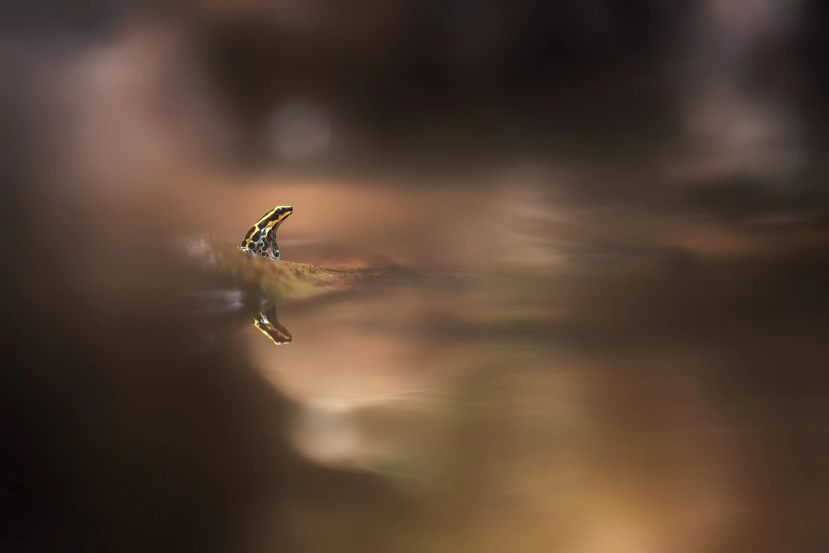 Small may be beautiful