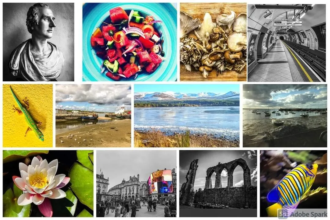 Main Cover Photo Collage