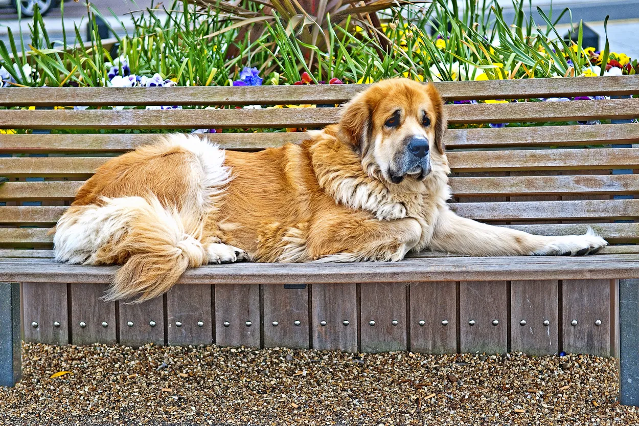 Entry 620510