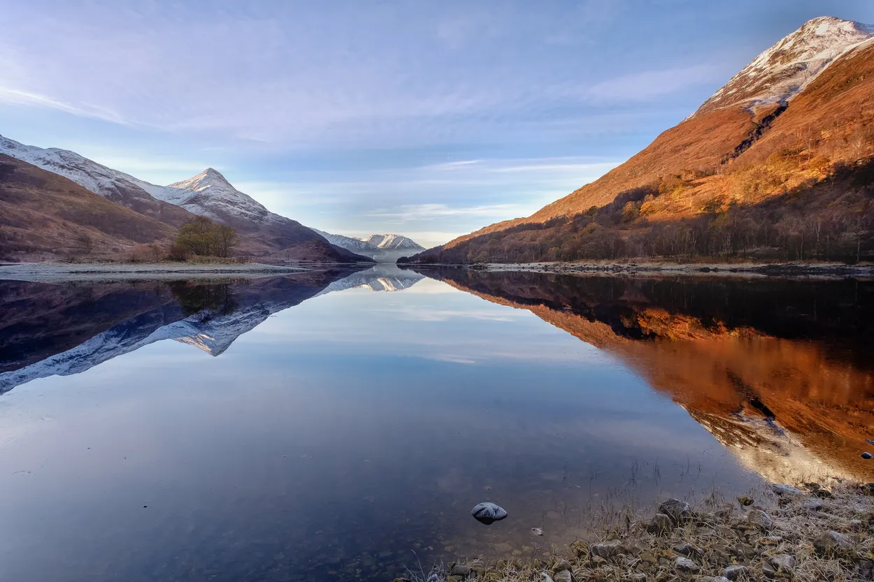 Entry 620699