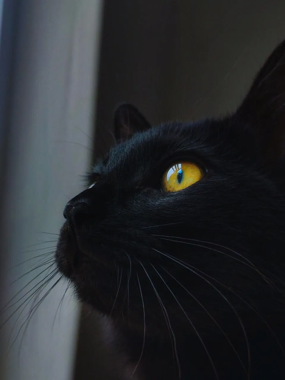 A million stories that one eye could tell.