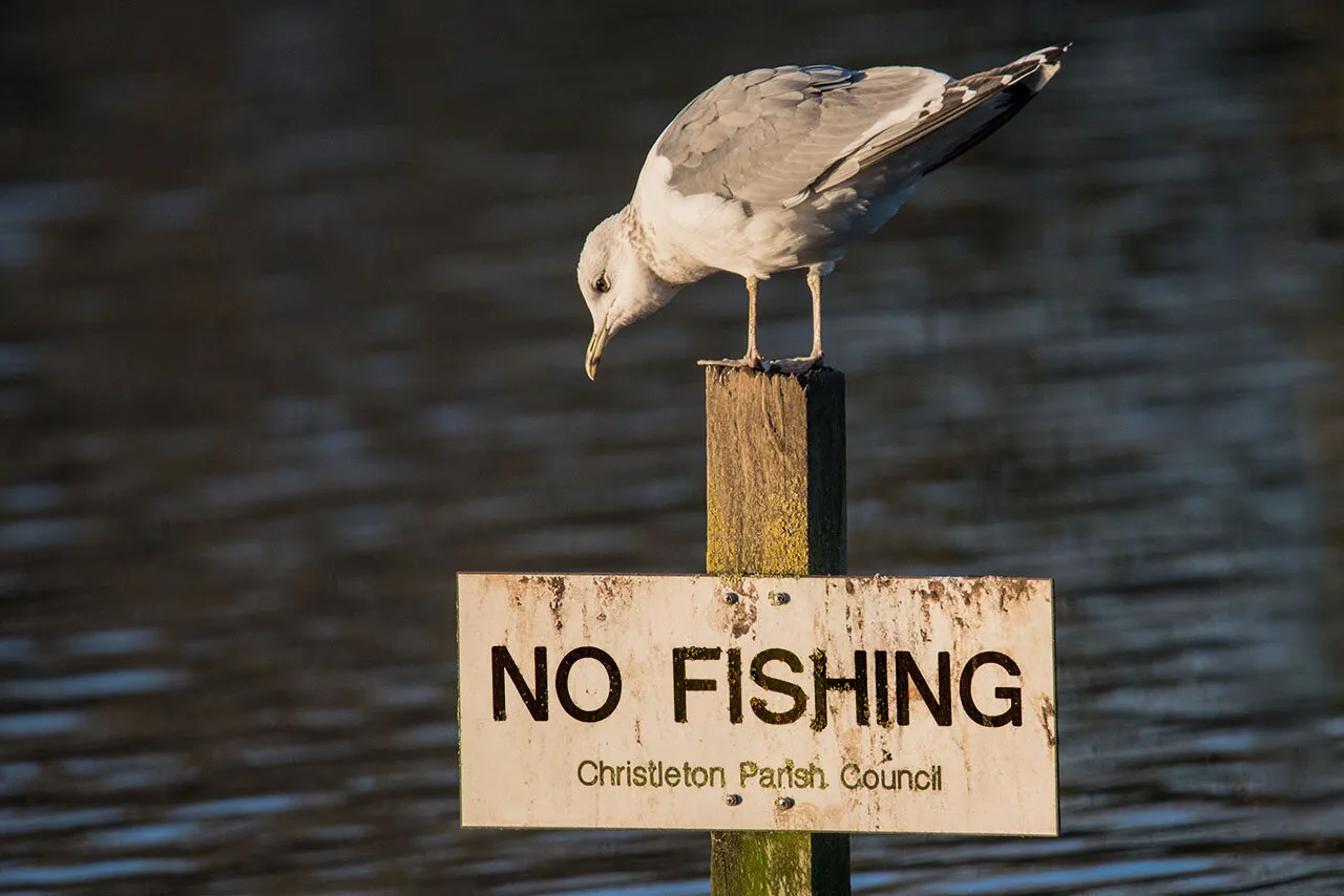 No Fishing