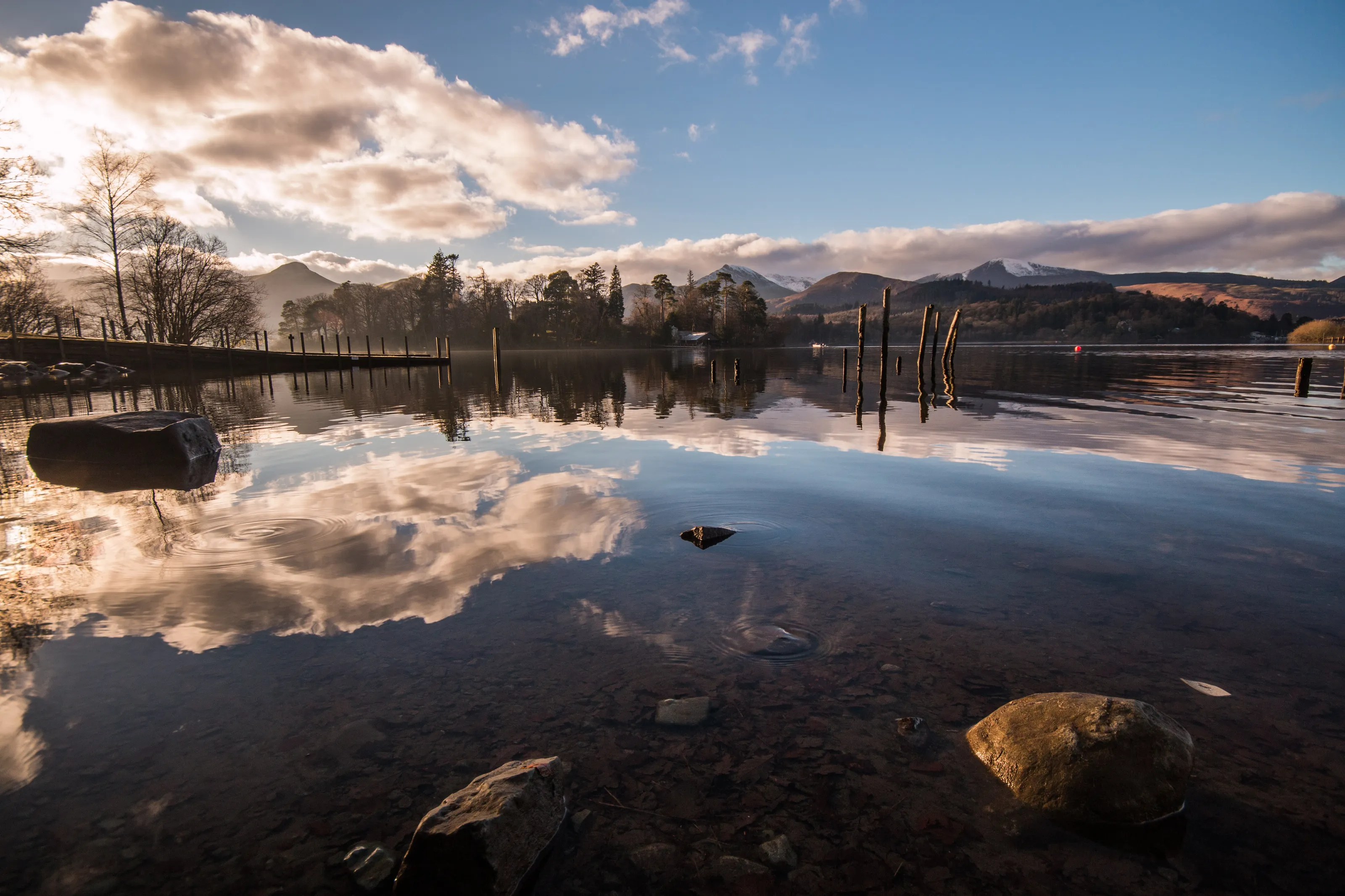 The Lake
