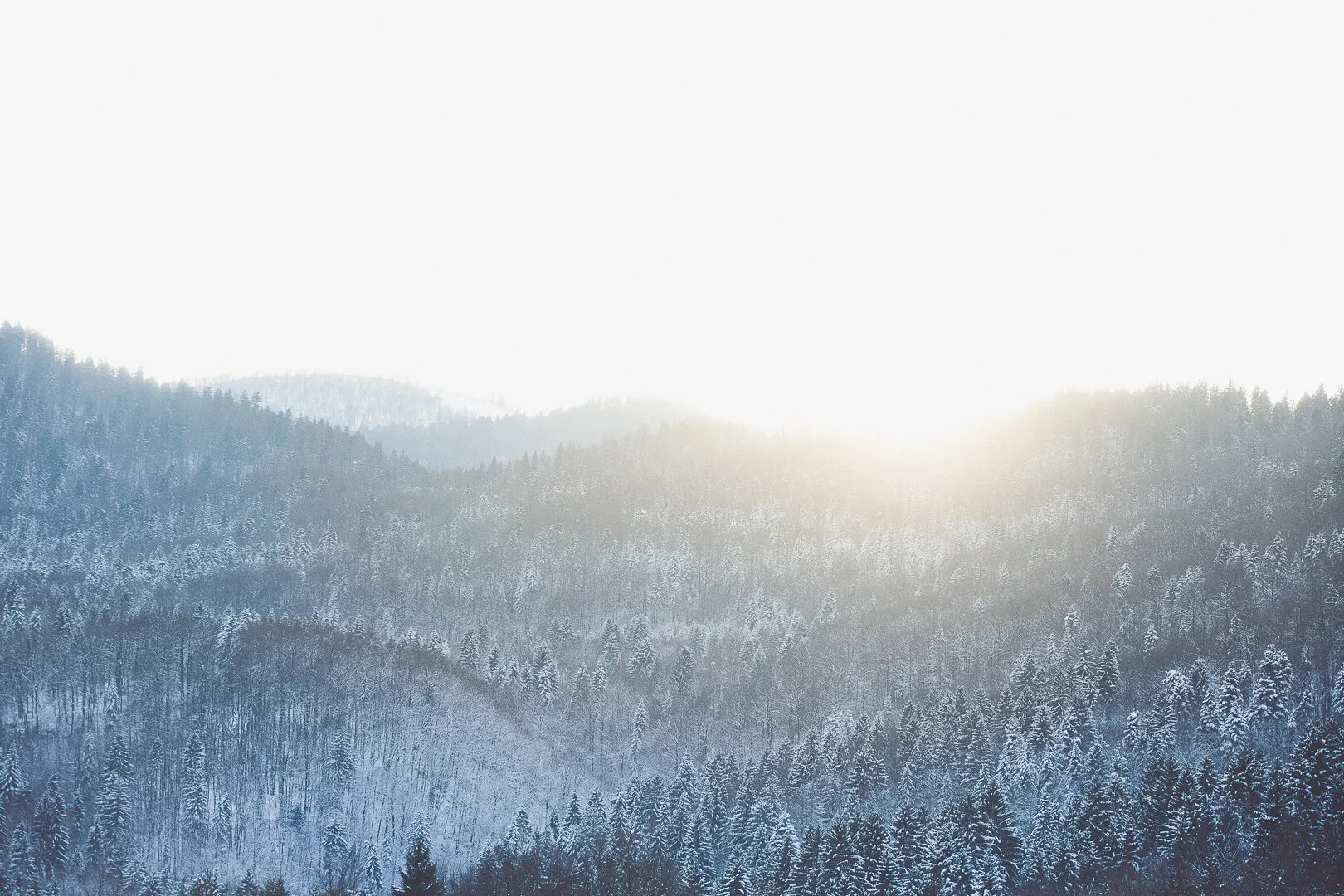 Winter