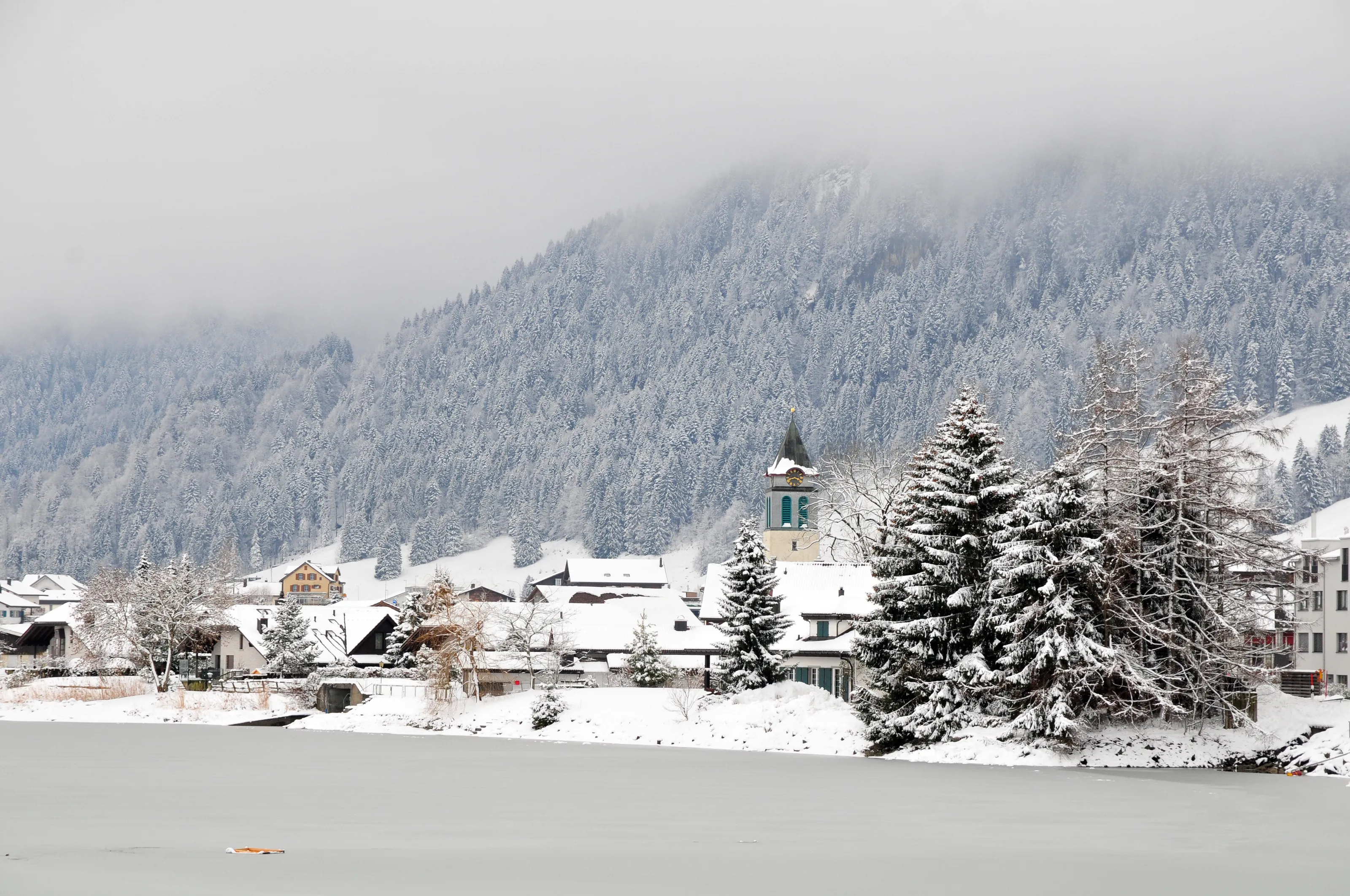 Frozen by the Lake