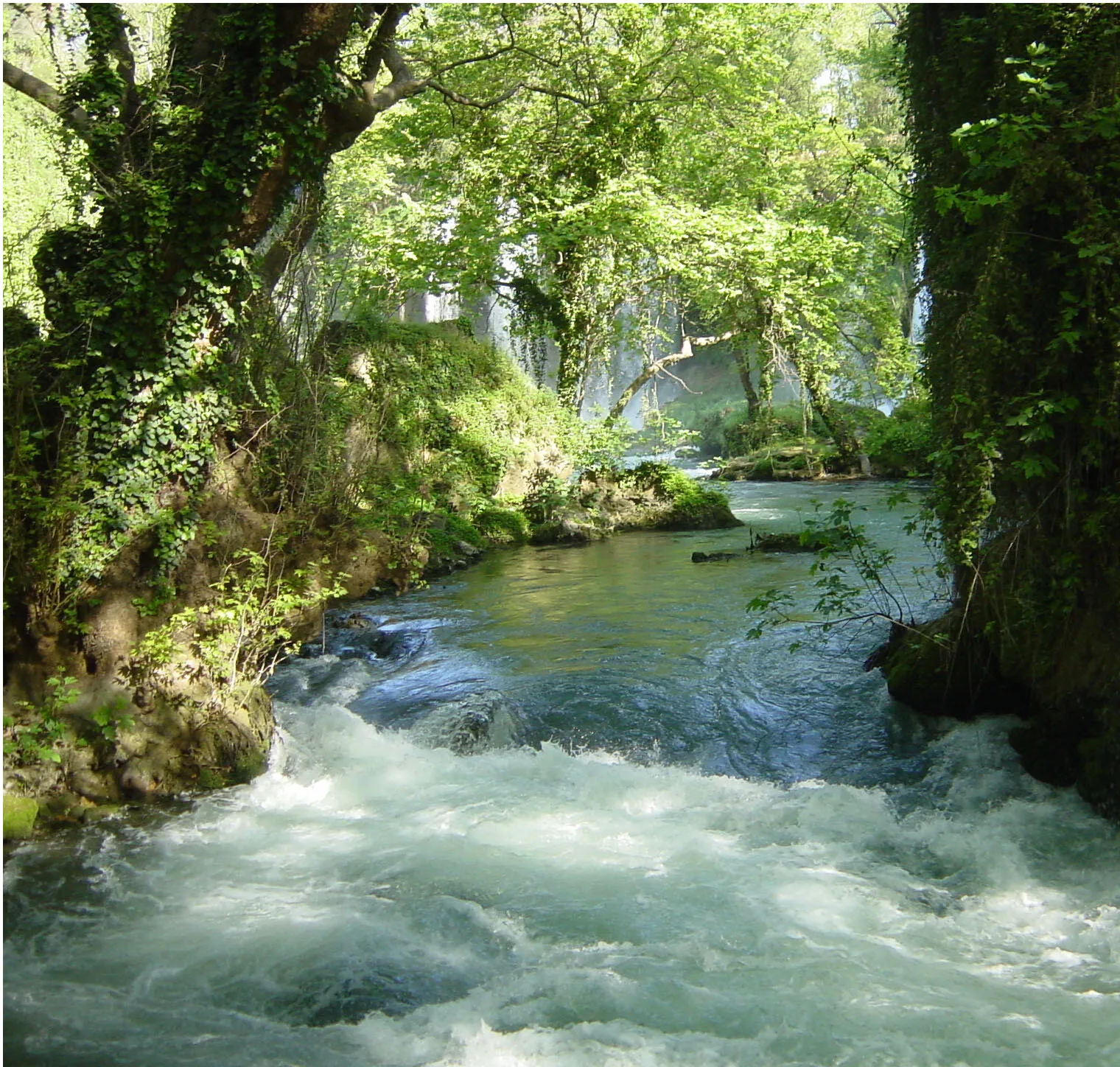 Turkey River