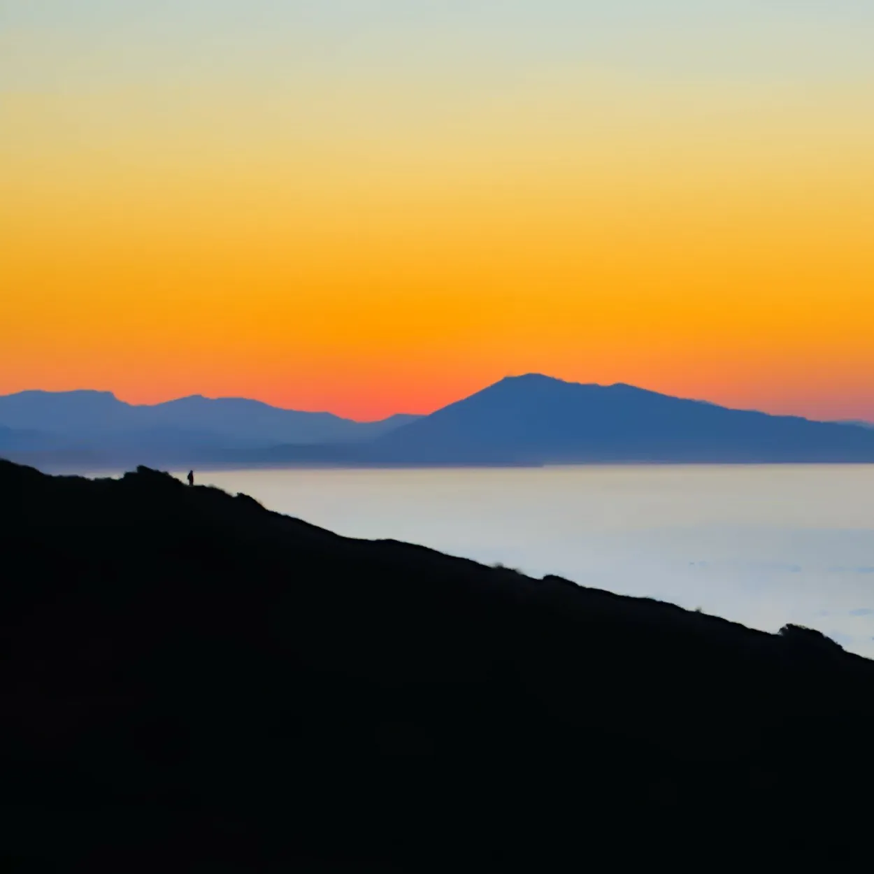 Entry 11824881