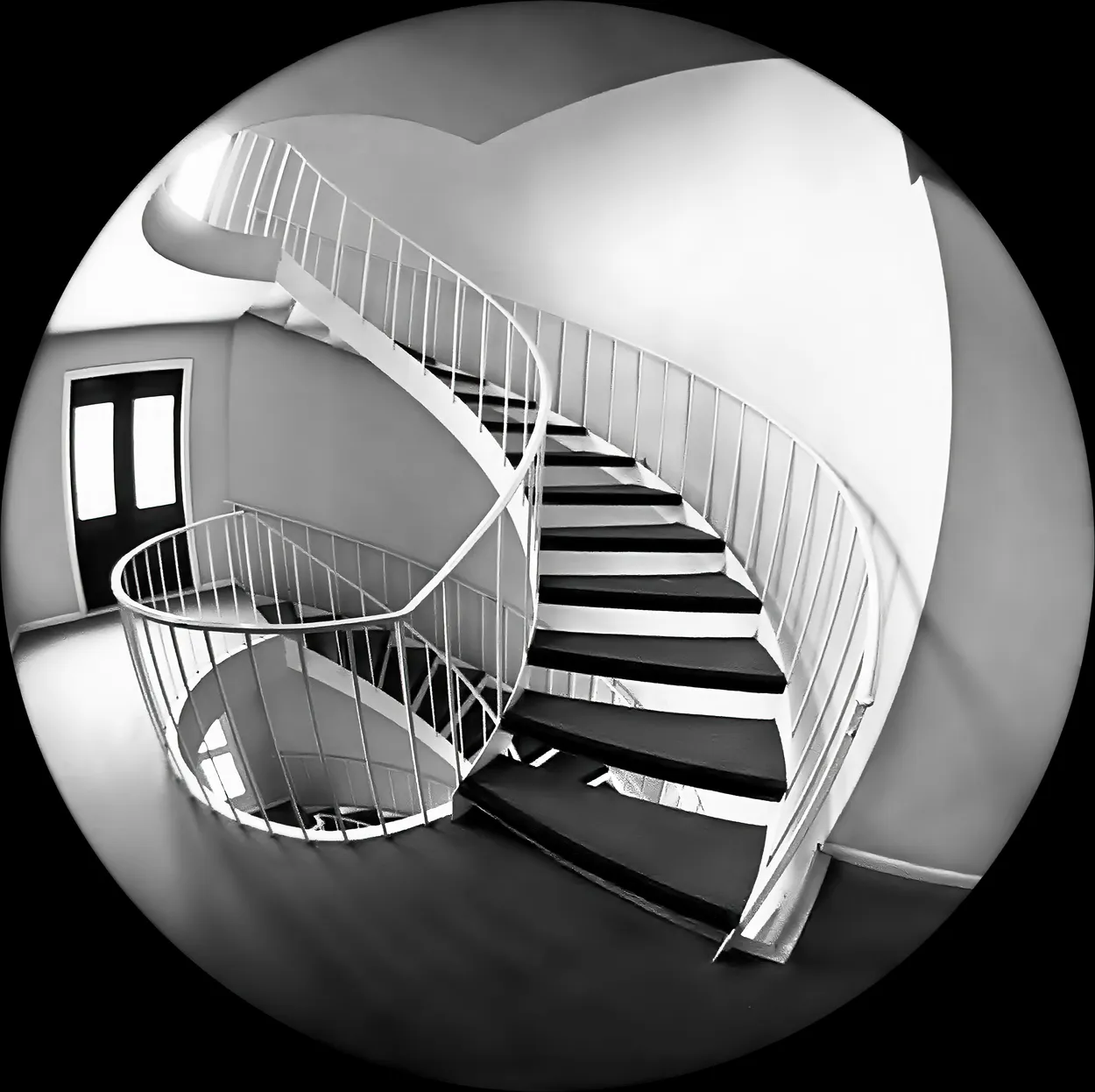 Entry 12451928