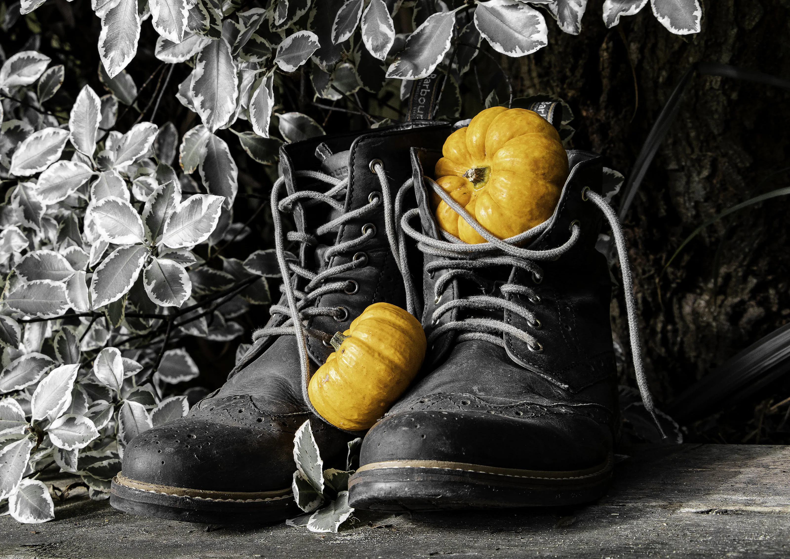 Squash in Boots
