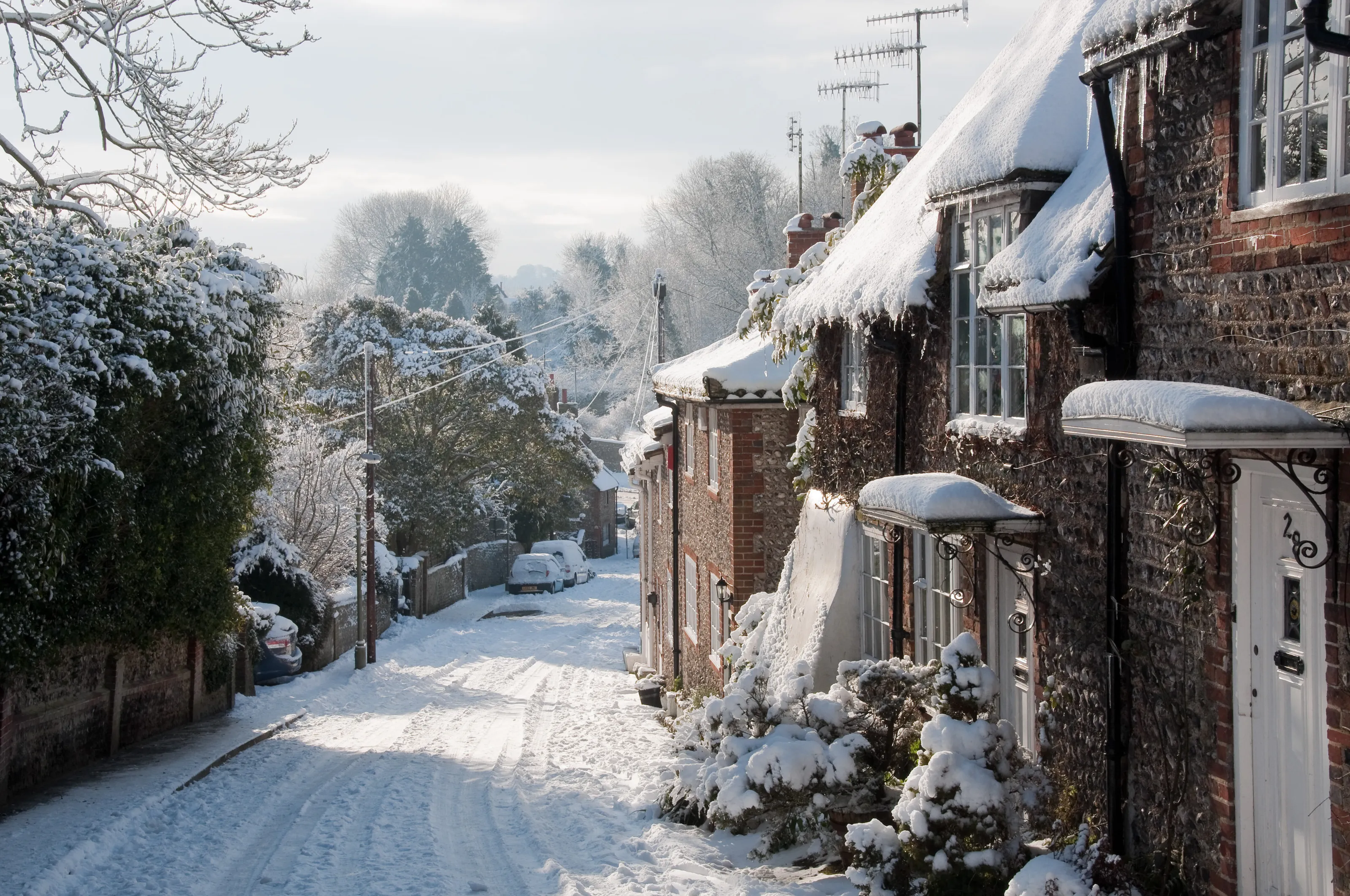 Quiet in the snow