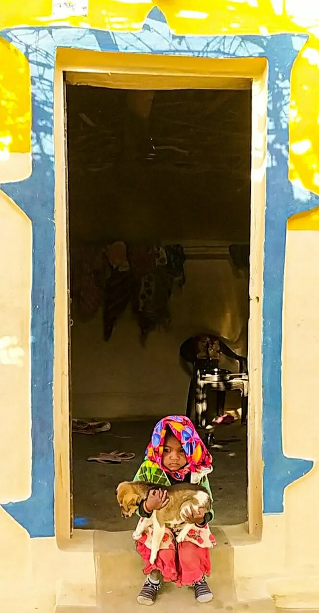 Entry 11841399