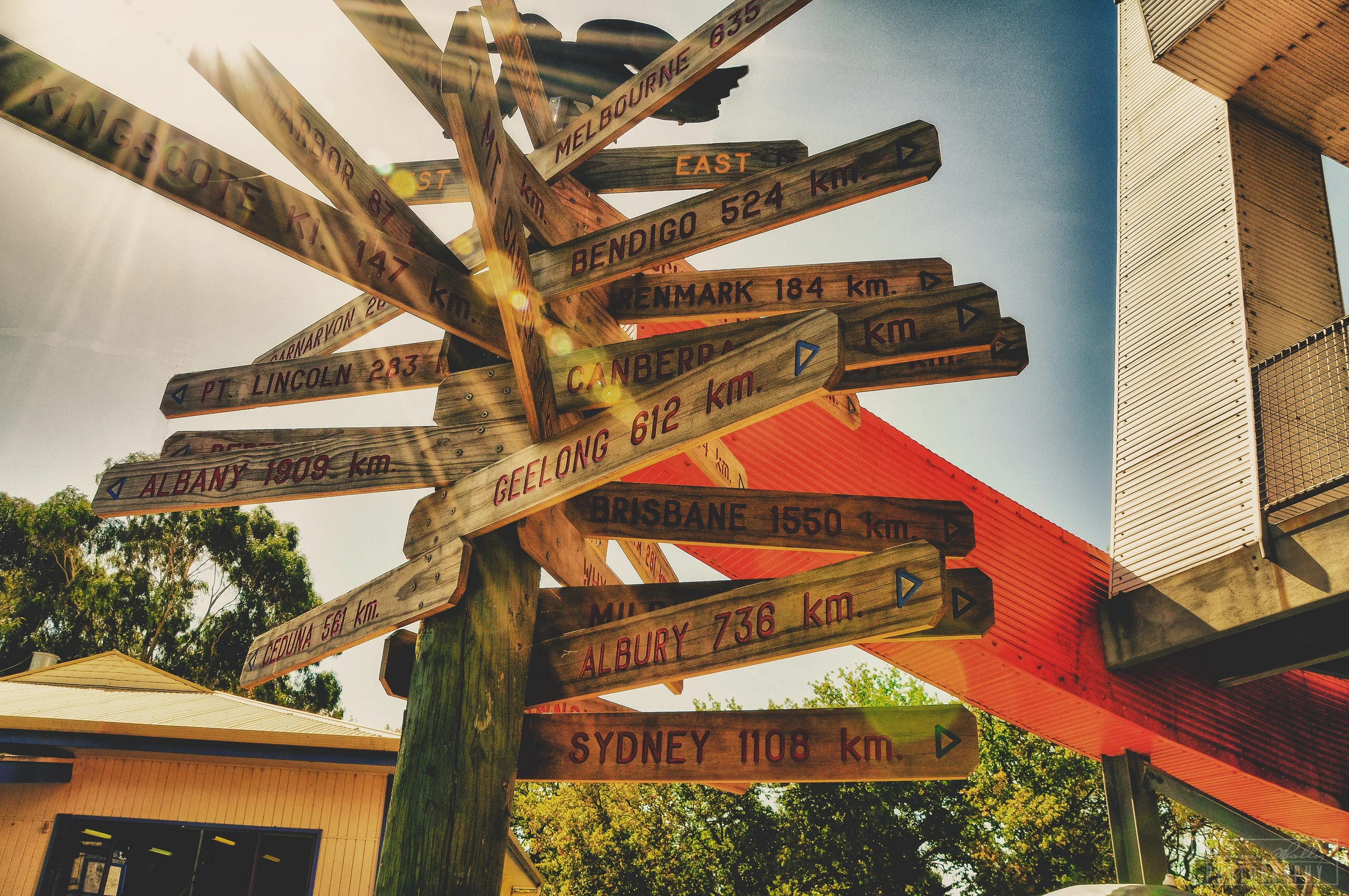 Which Way?