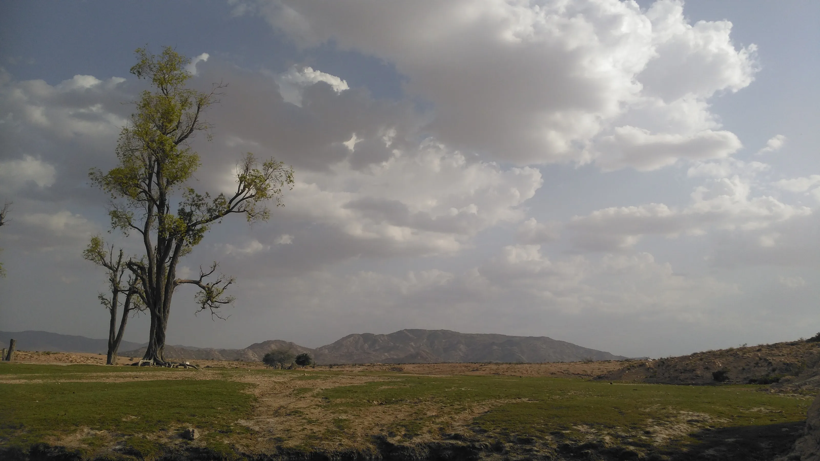 Landscape Photography