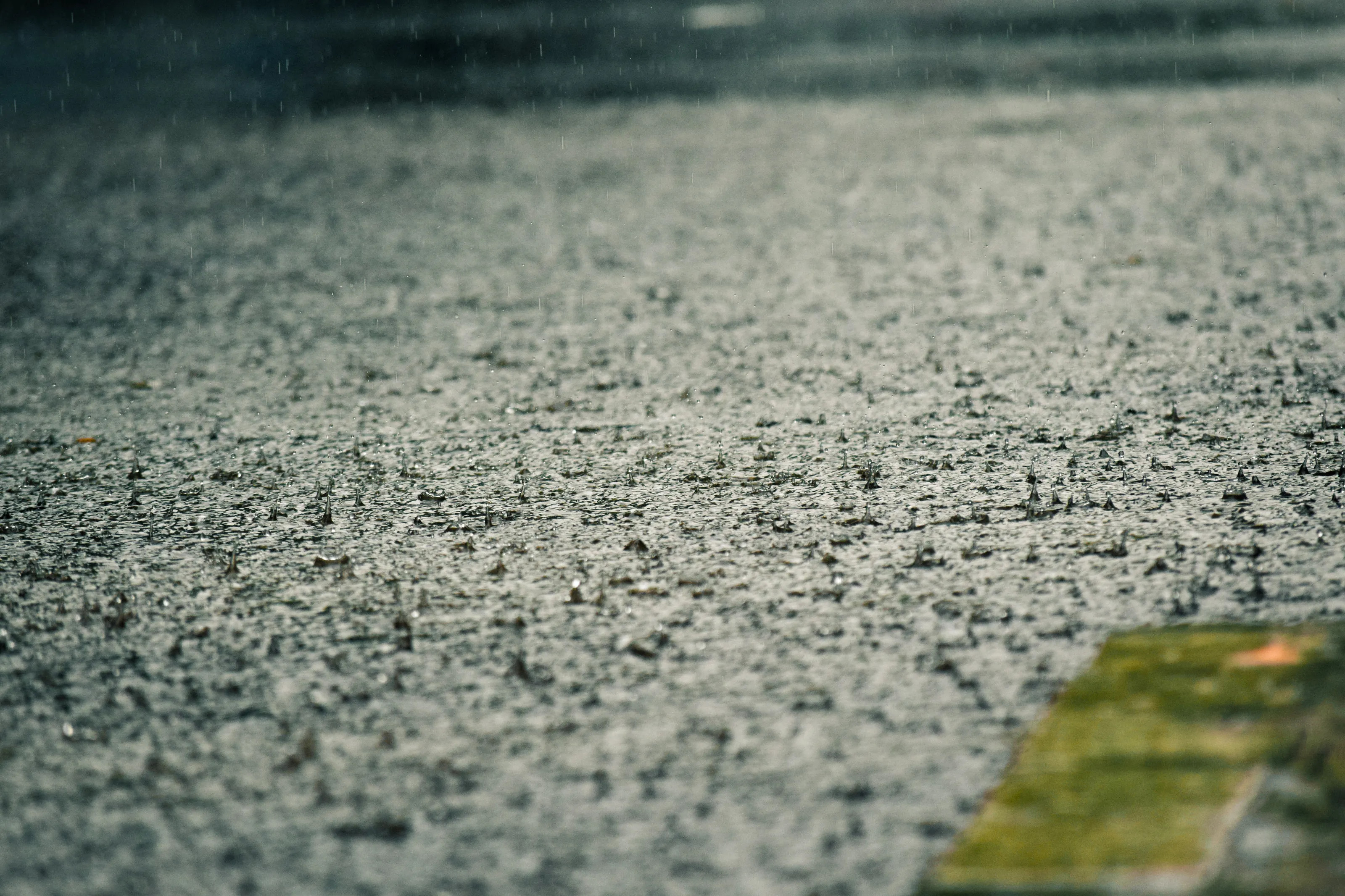 Rain Drops
