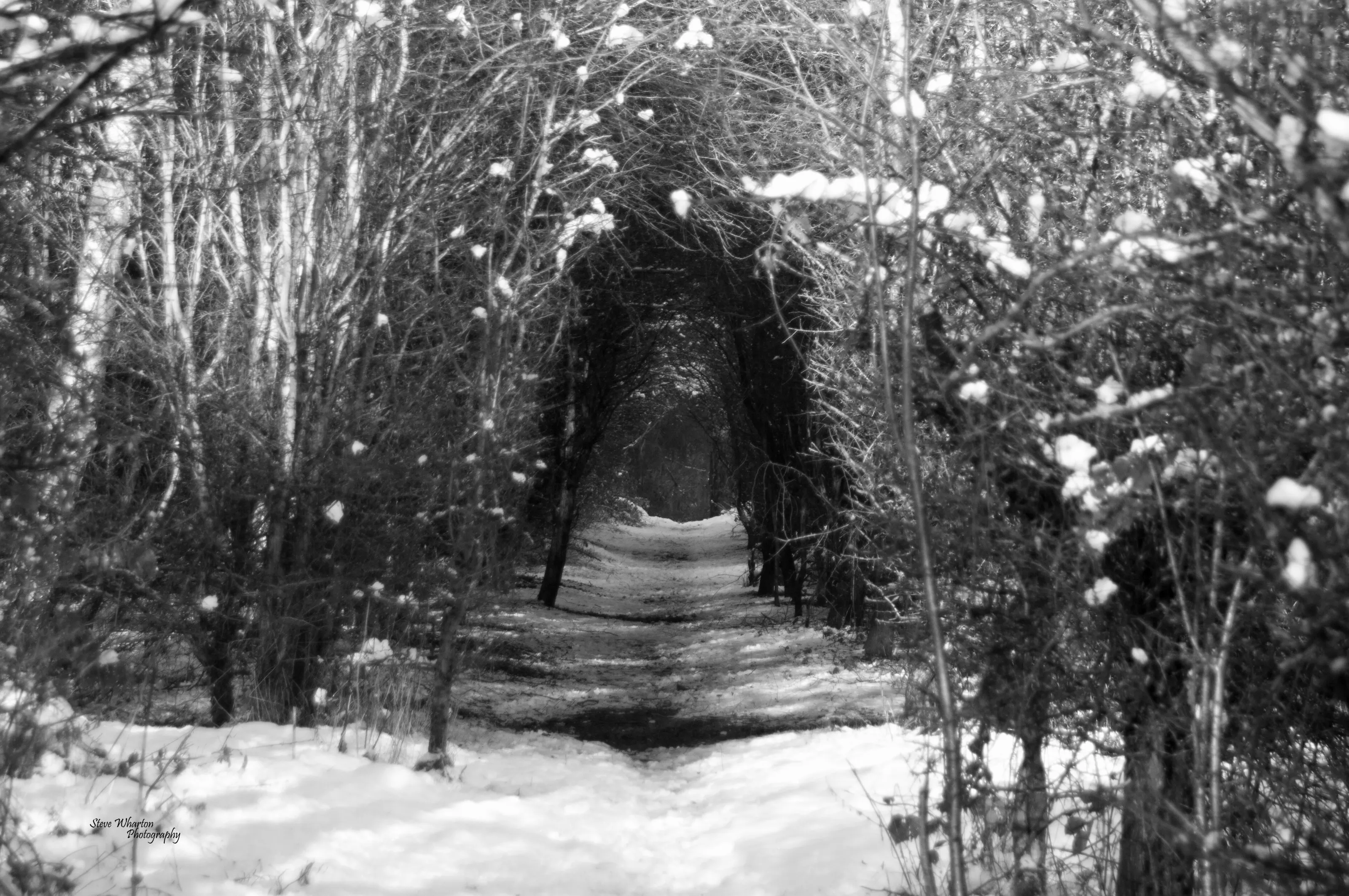 The path to where?