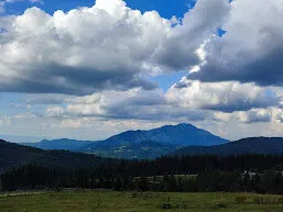 Fresh air view