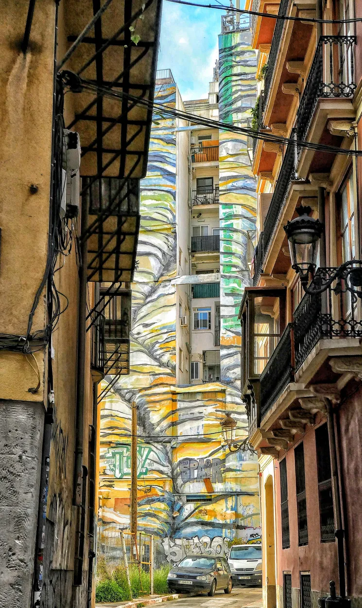 Entry 24378745