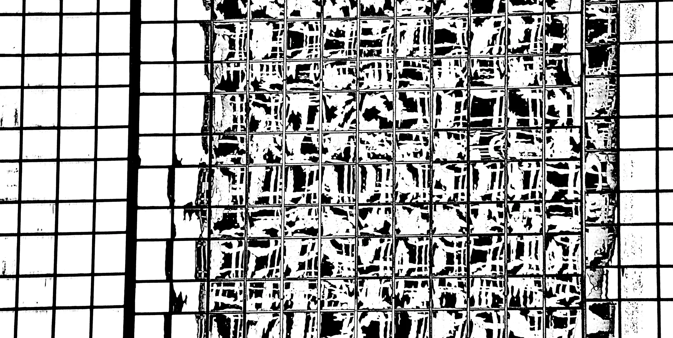 Entry 11862226