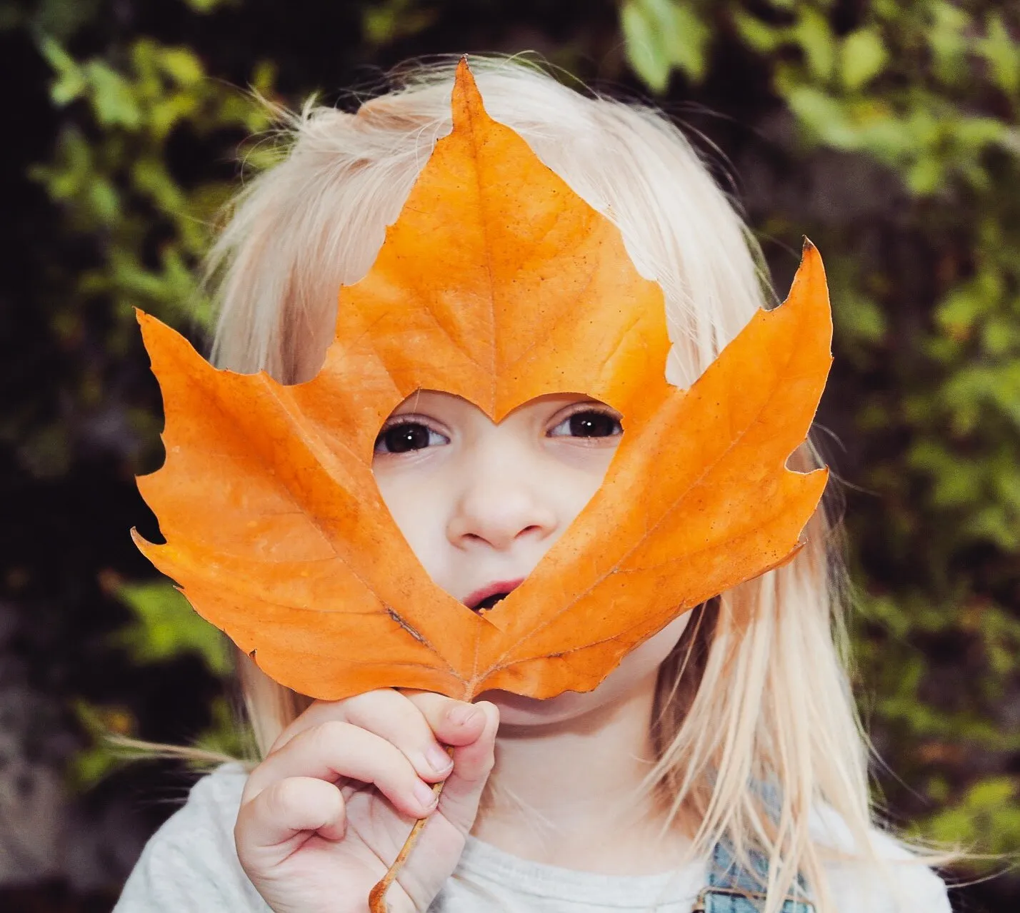 Autumn Love
