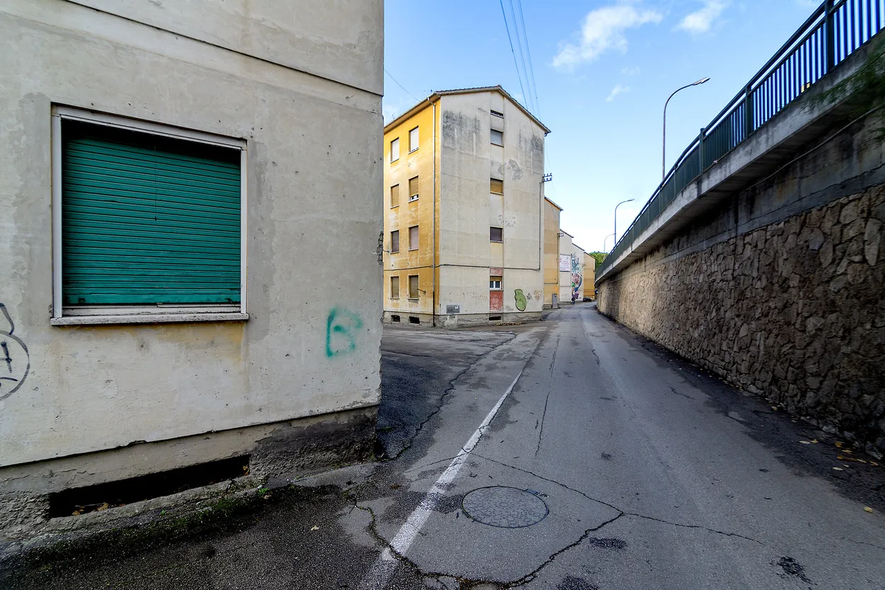 Entry 11879501