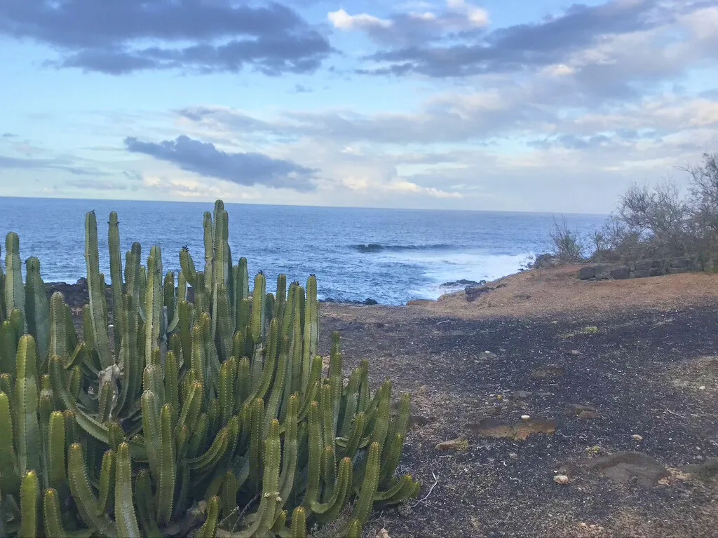 Ocean from the desert