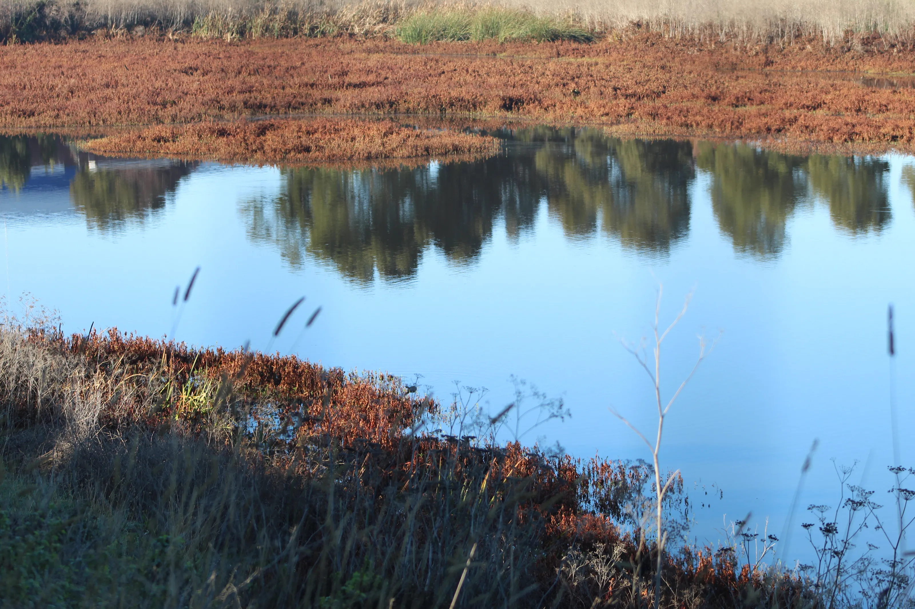 Reflections ...