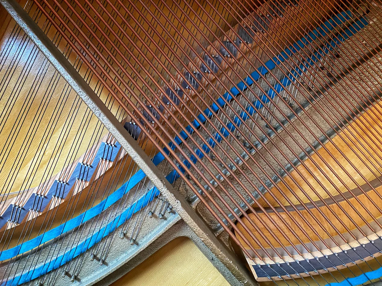 Entry 27950429