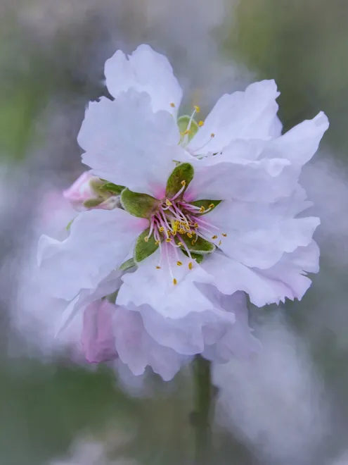 Spring Has Sprung