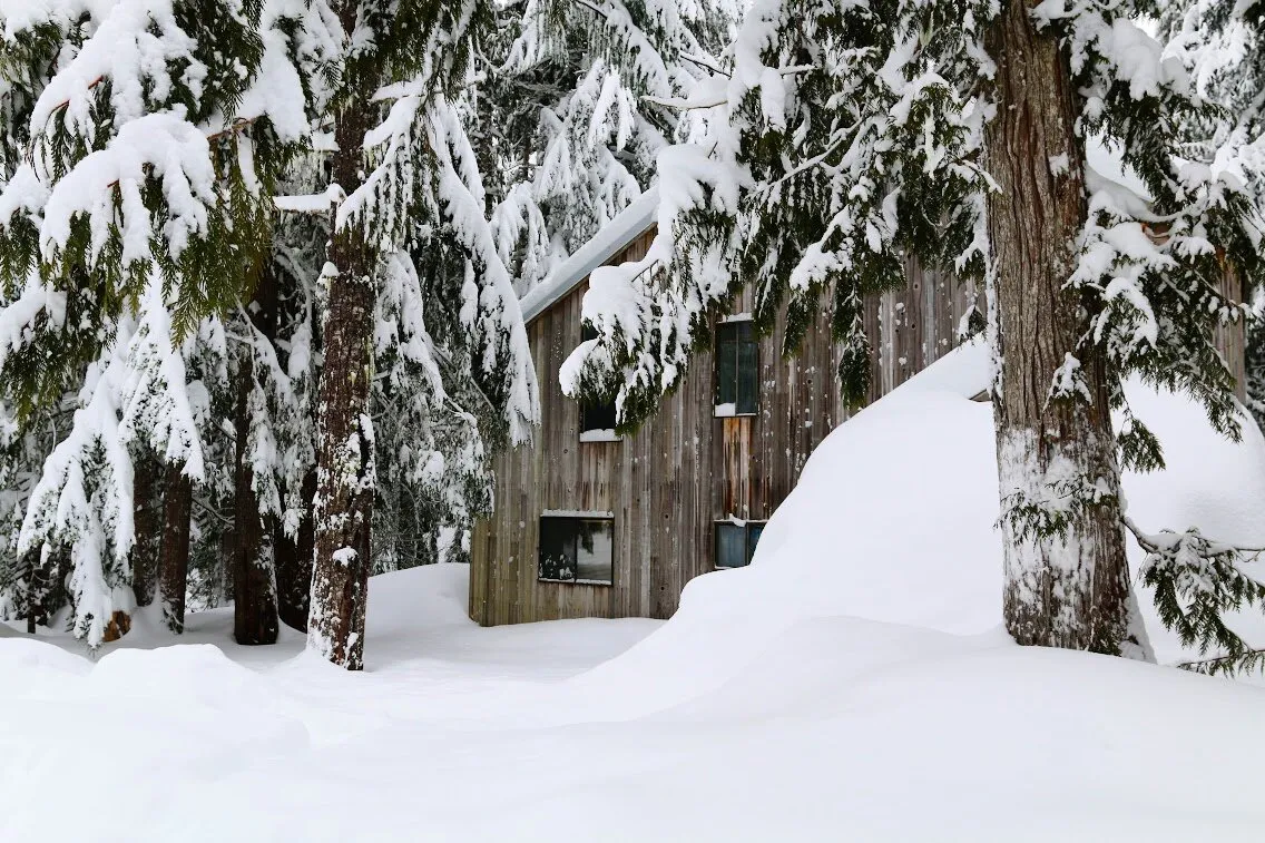 #snow #cabin