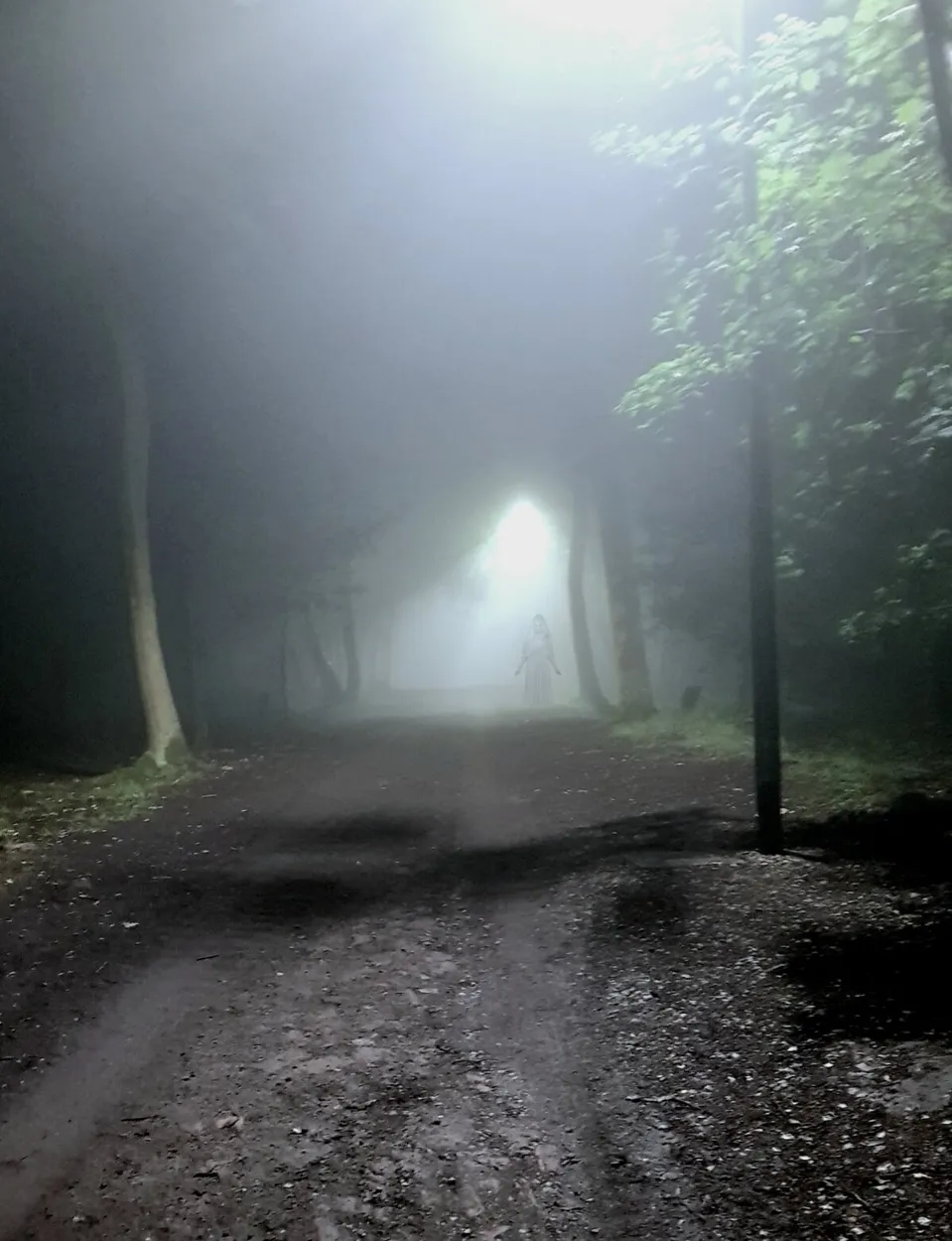 Entry 11892164