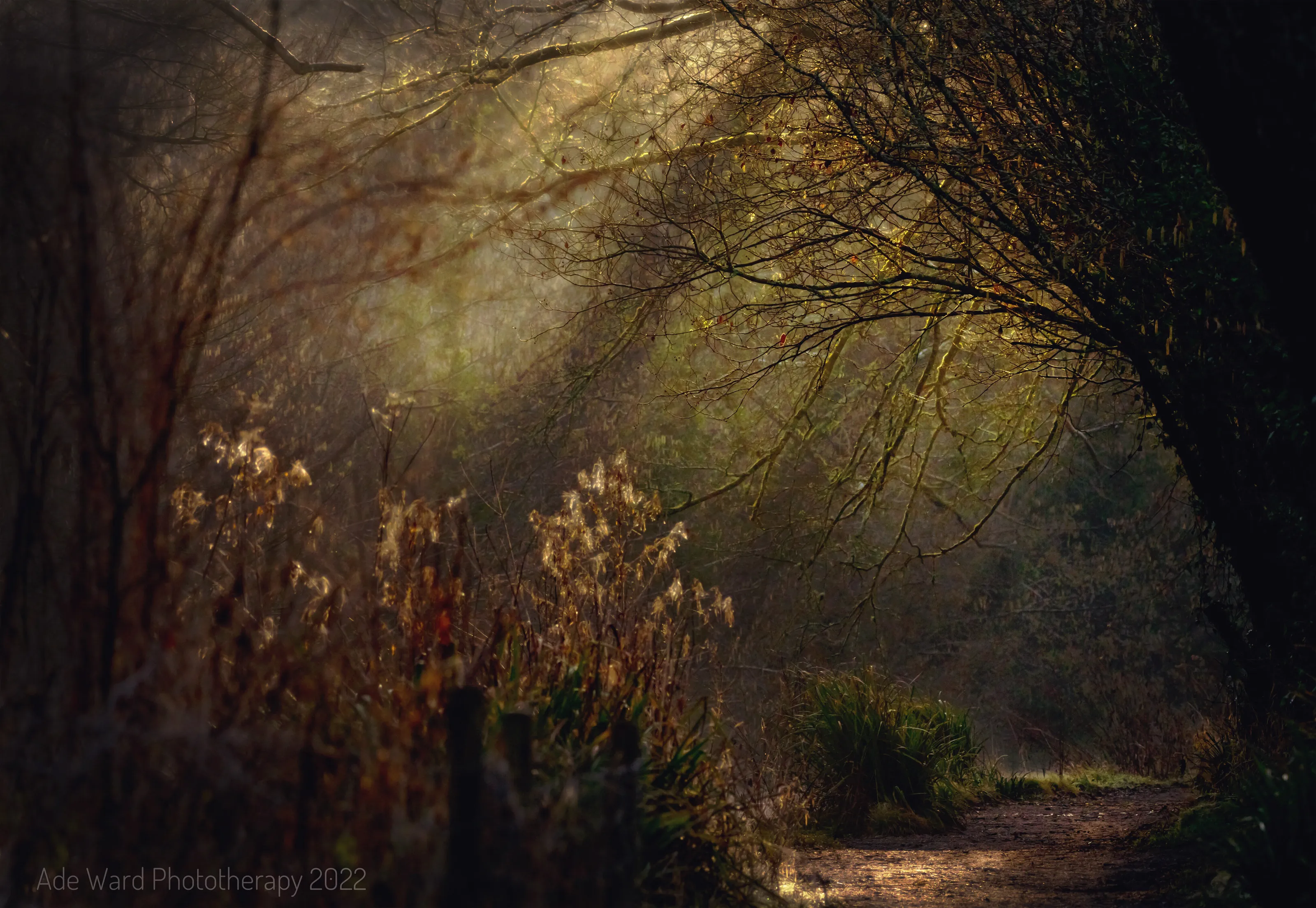 First light