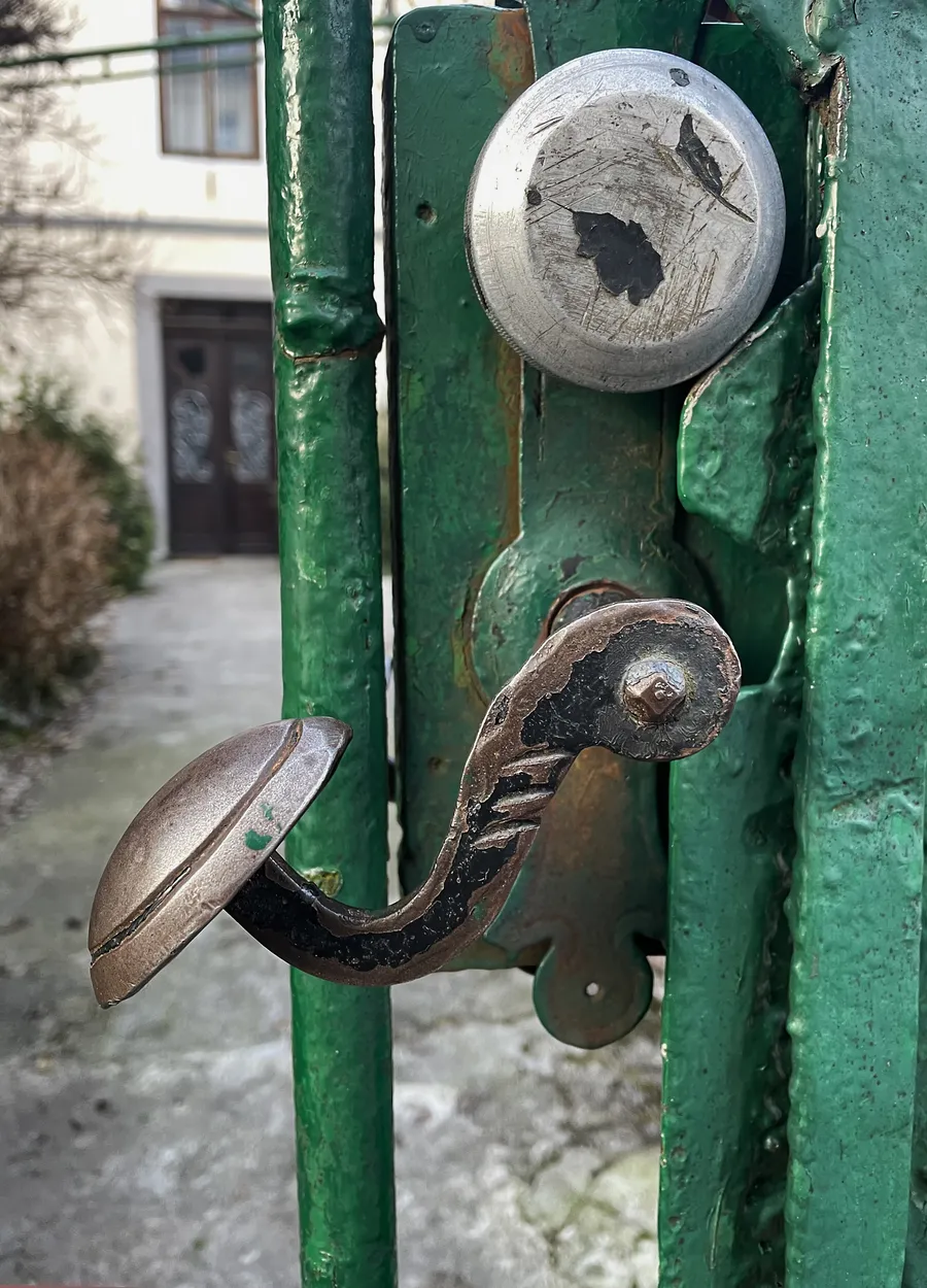 Entry 11914368