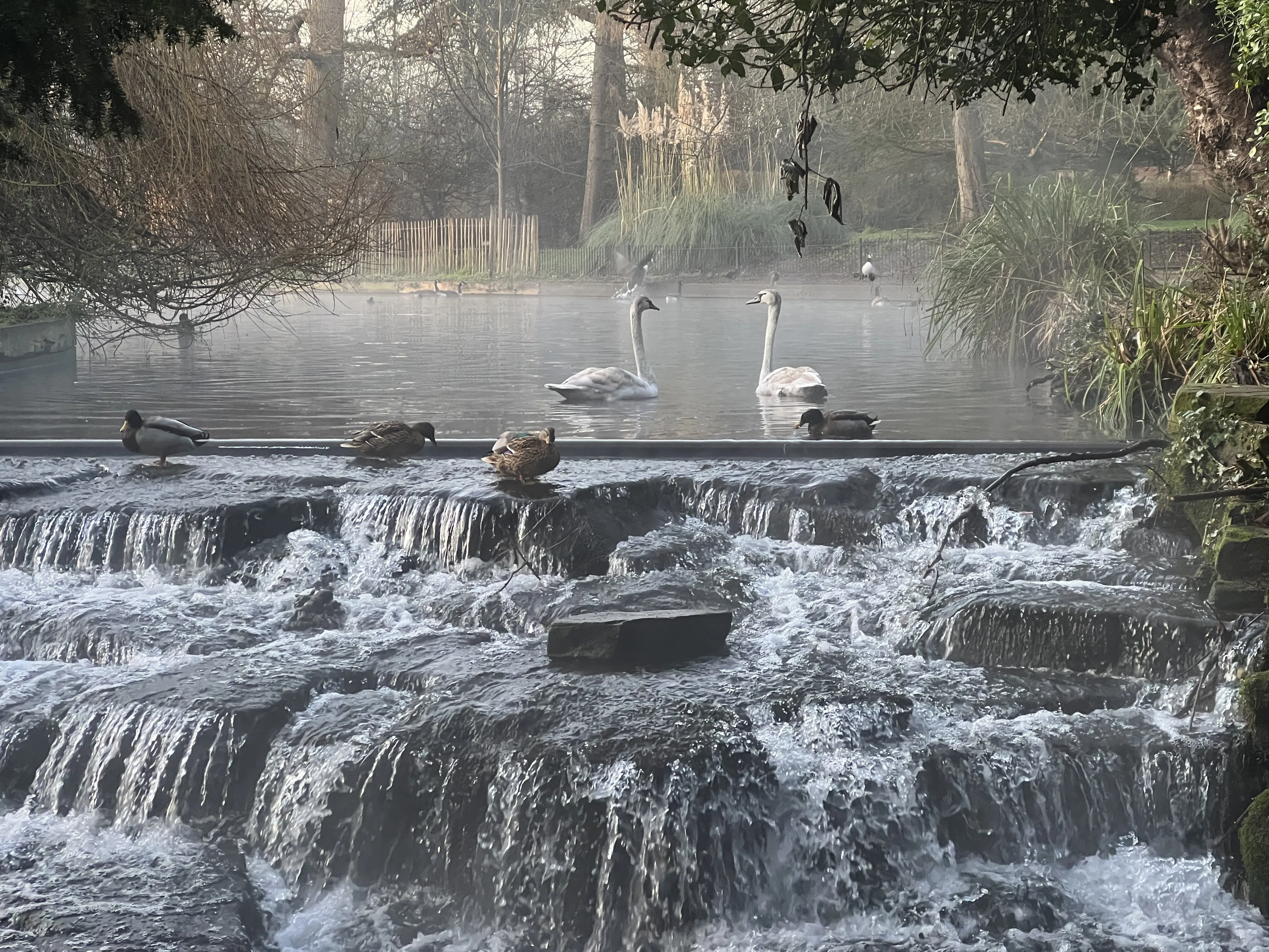 Waterfall in the morning