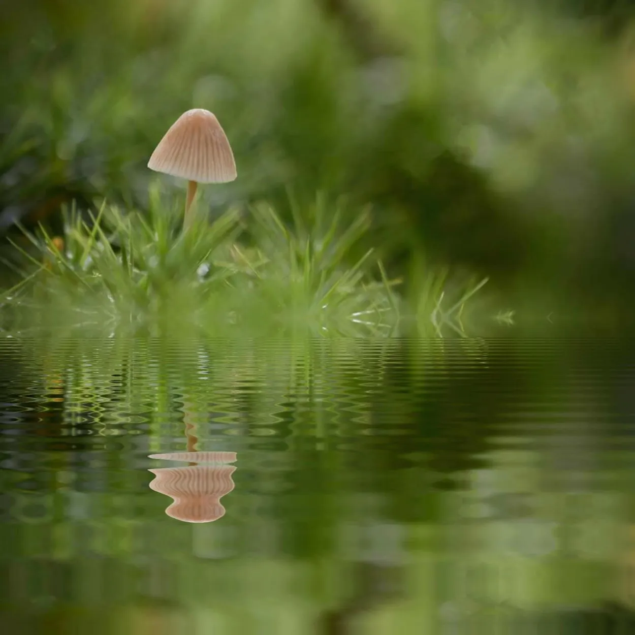 Entry 11919472