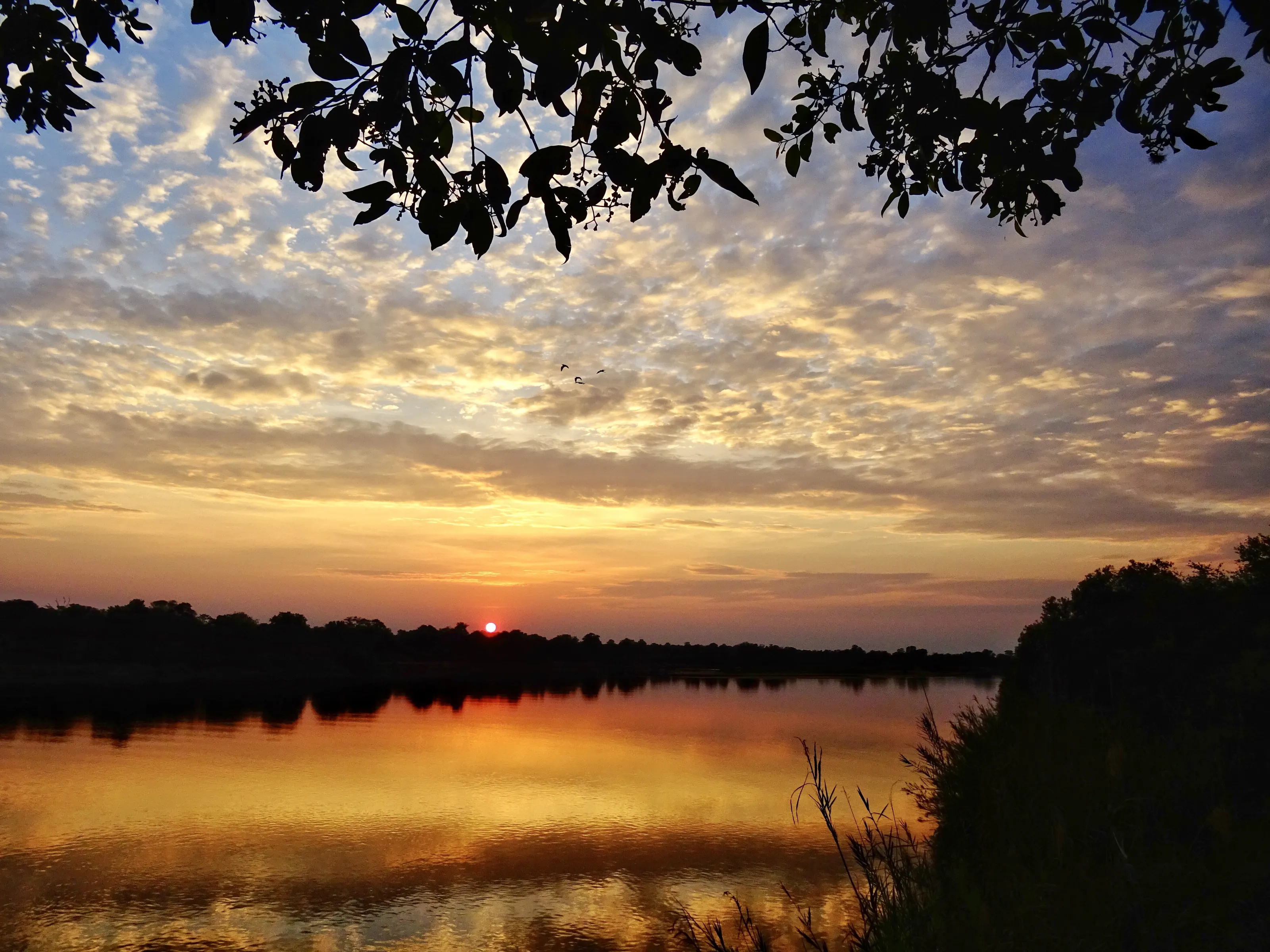 Amazing sunset-like sunrise