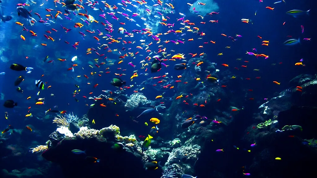 ocean colors