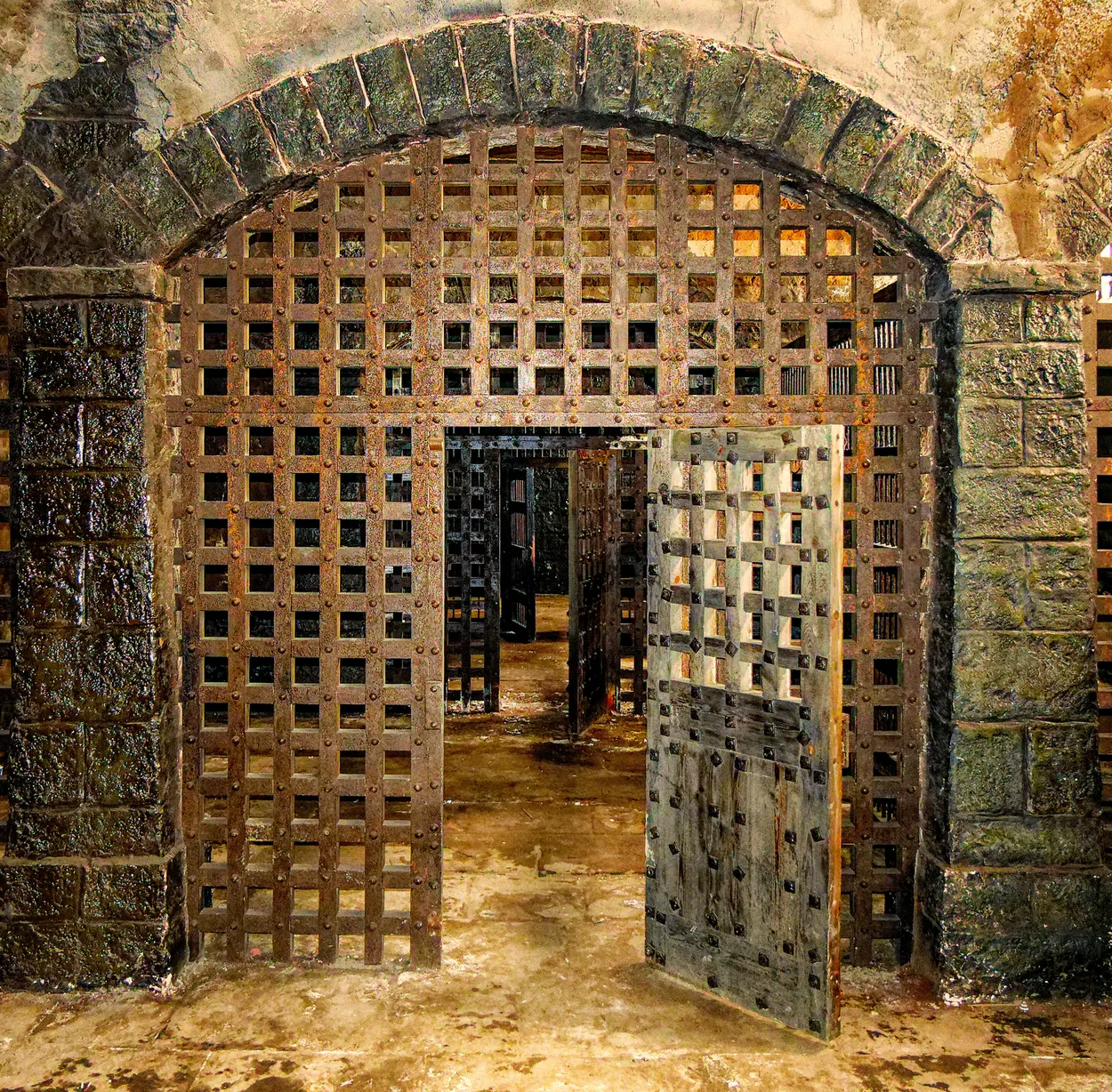 Entry 19498813