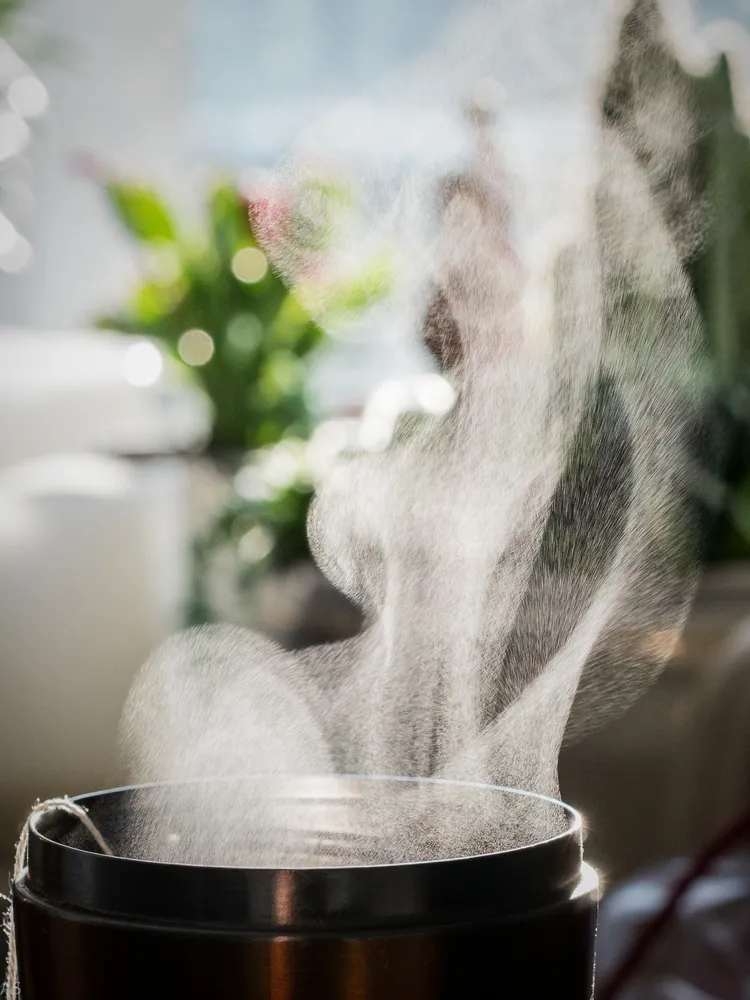 Steam dance