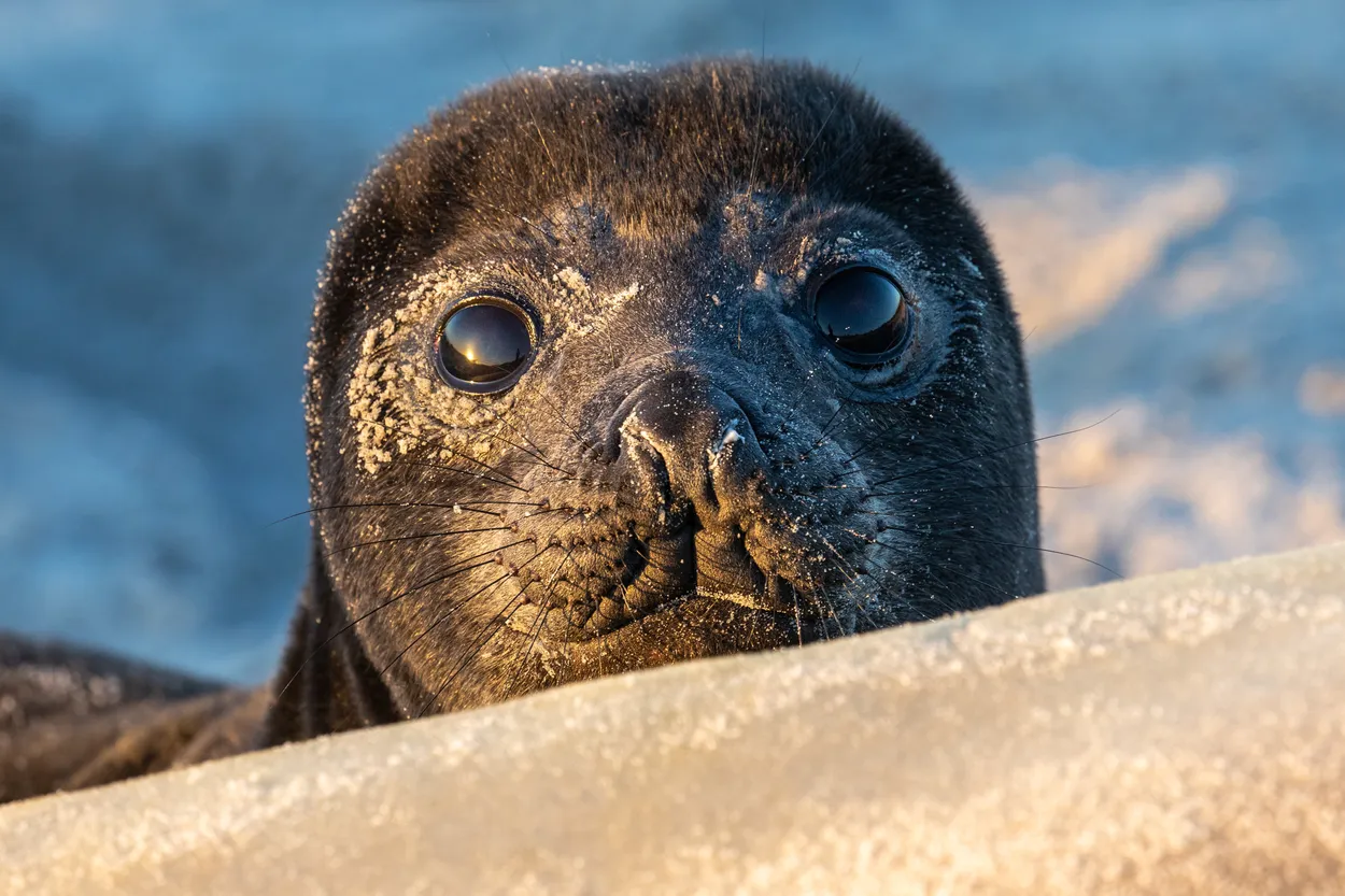 Entry 12540540