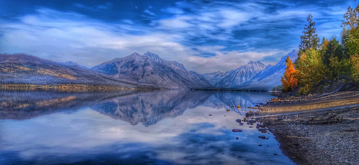 Entry 17239714